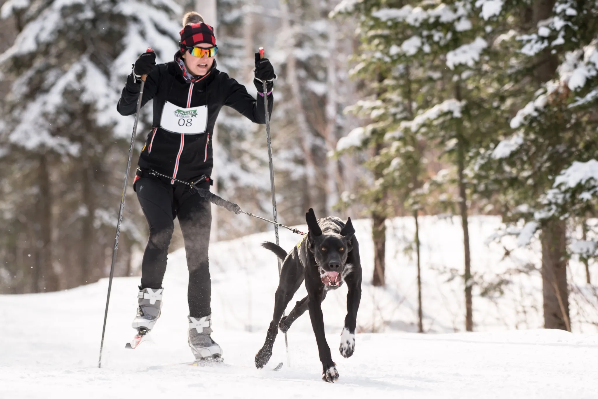 Parc d'une rive  l'autre - centre Dorval