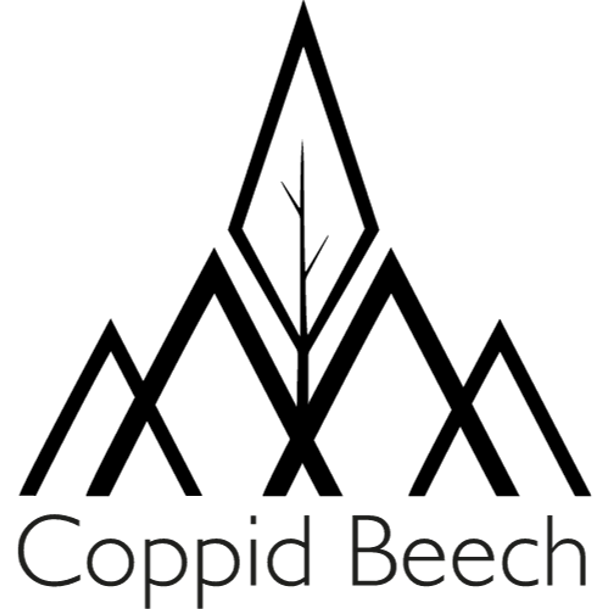 The Coppid Beech