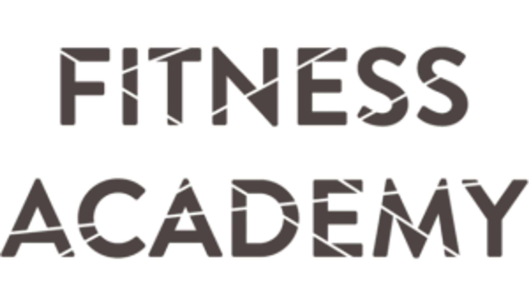 The Fitness Academy