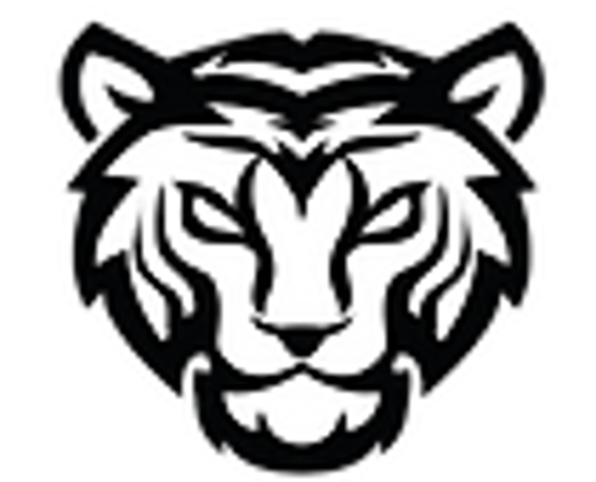 TOP TAEKWONDO ACADEMY