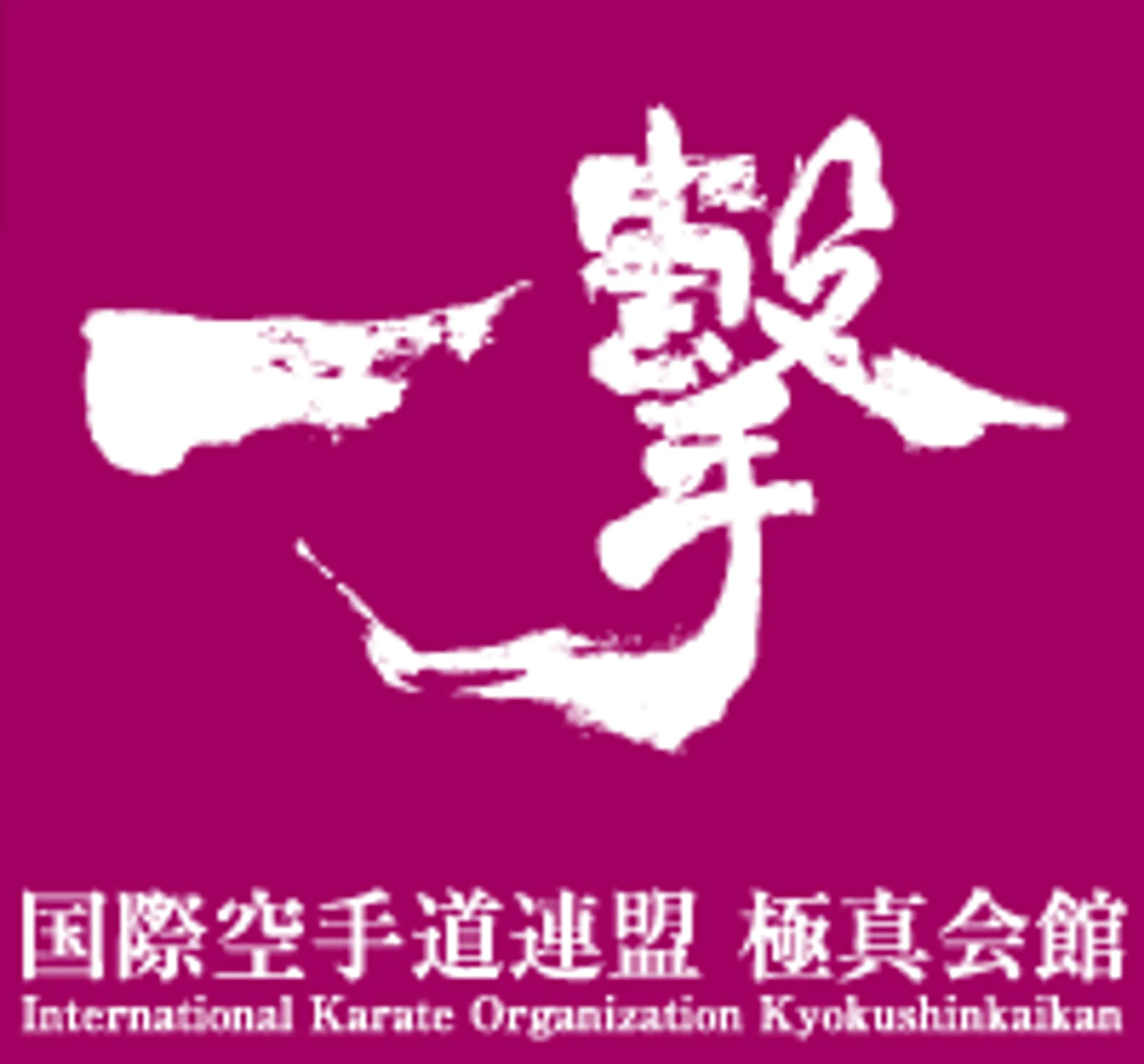 Kyokushin Karate School