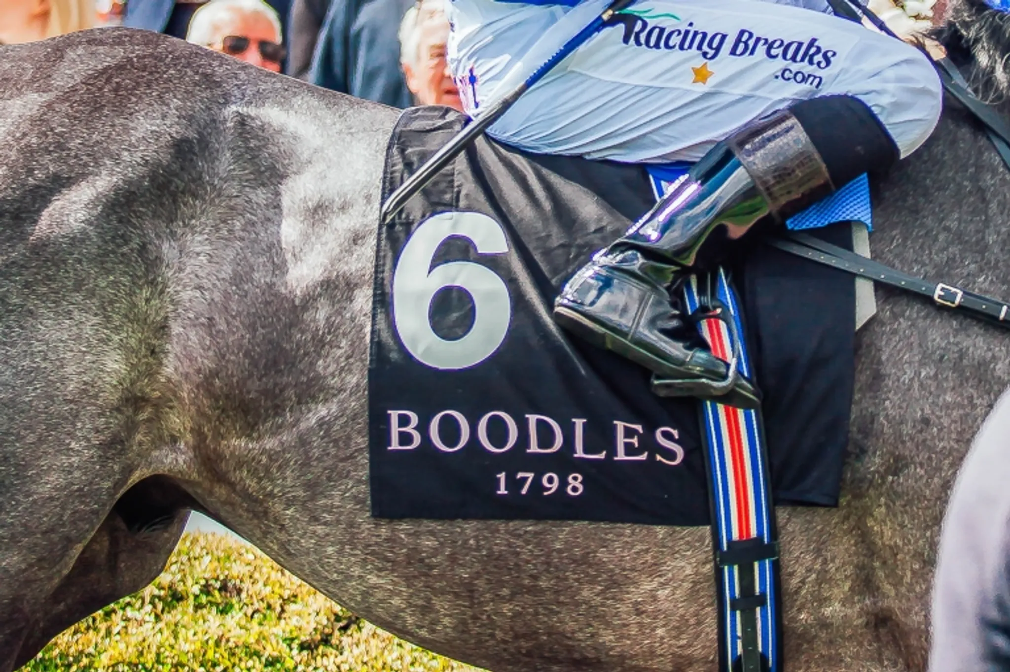 Deepbridge Chester Polo Series 2024