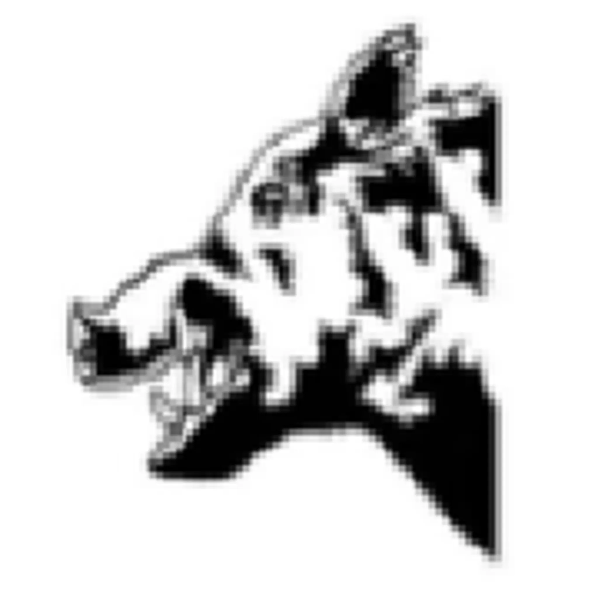 Hales & Loddon Cricket Club