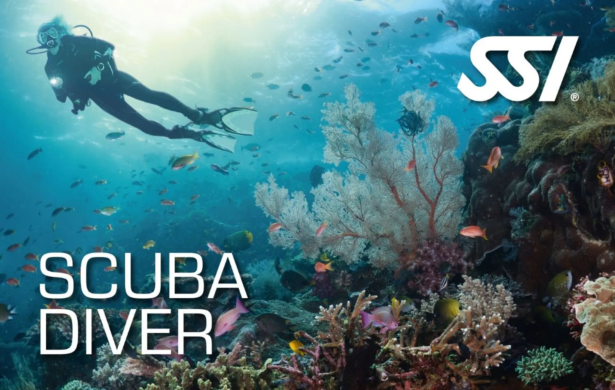SSI Scuba Diver Certification