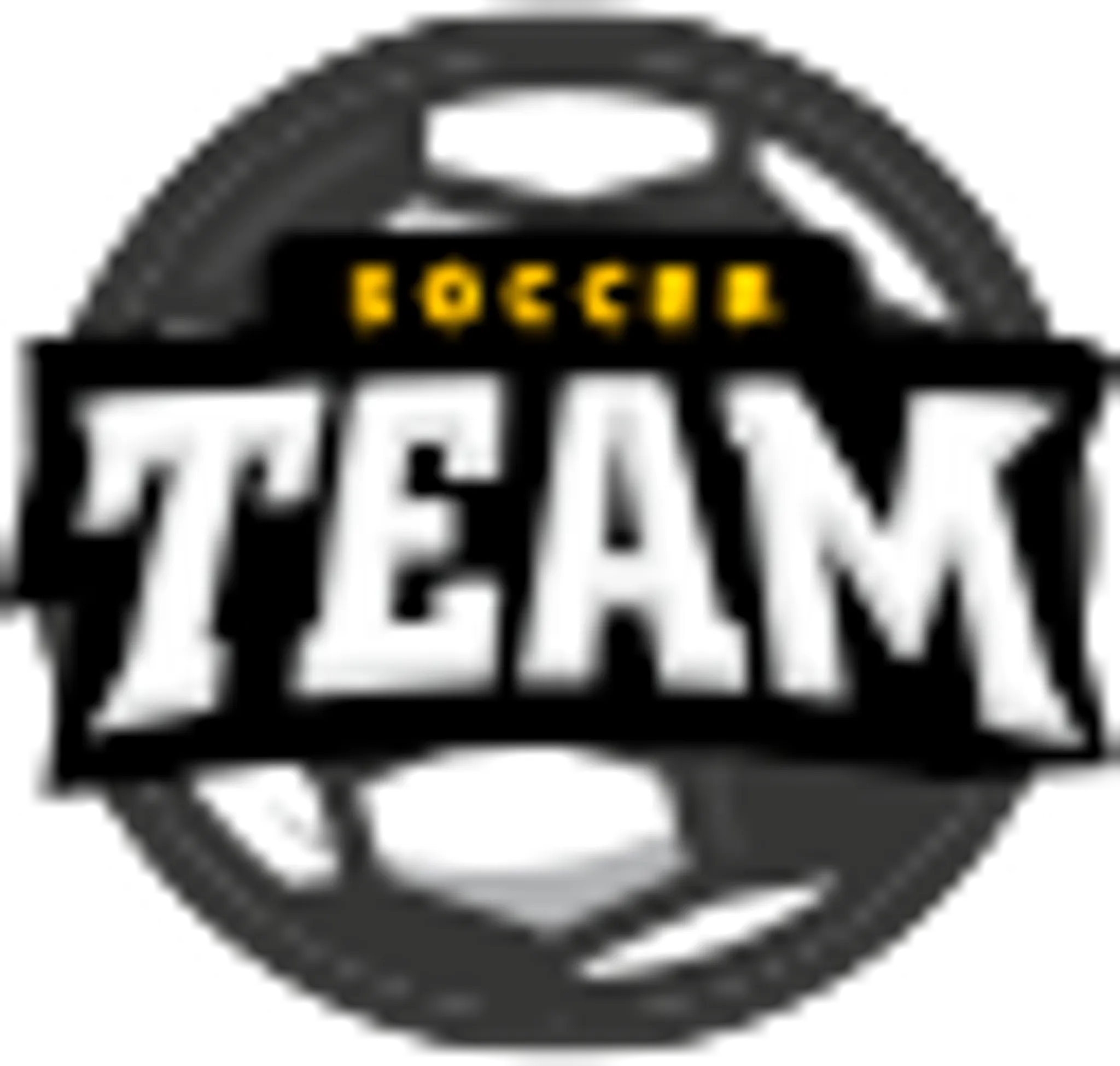 SportZone - Twilight Football