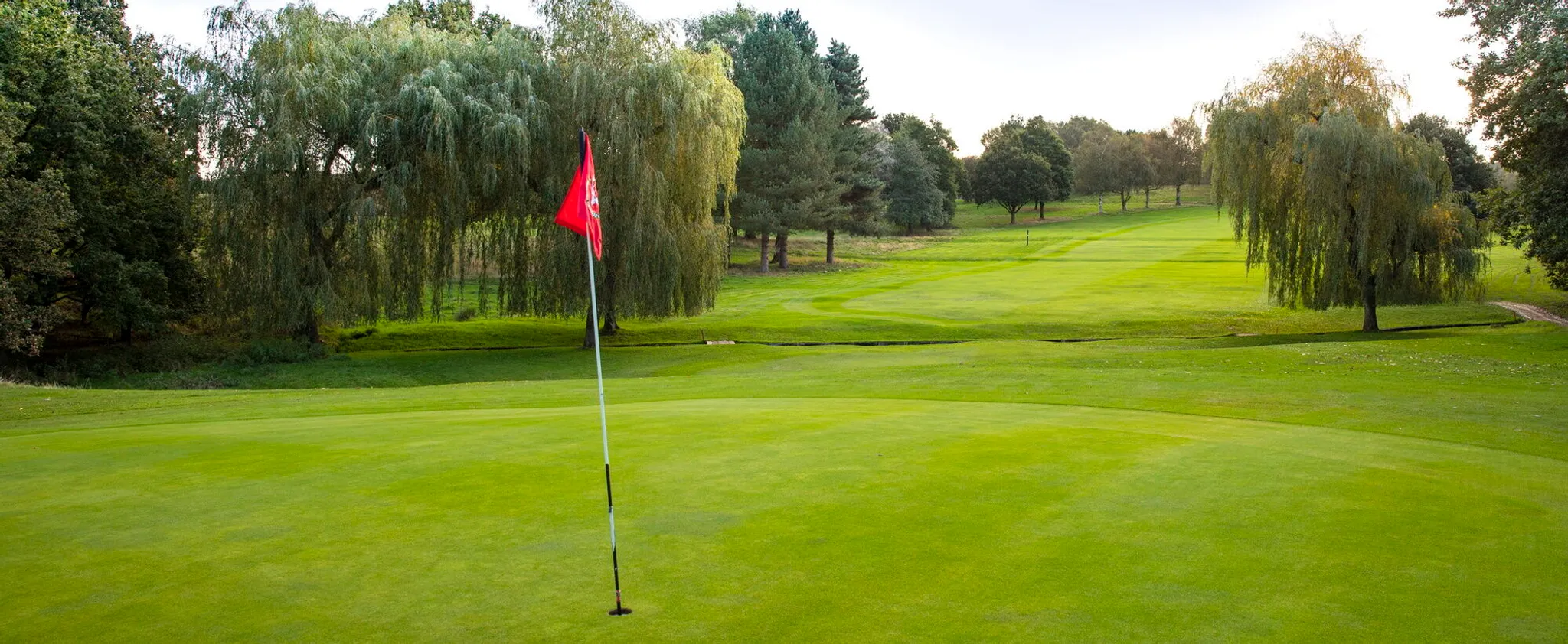 Senior Men's Open (Over 55) Afternoon AM-AM Stroke Play