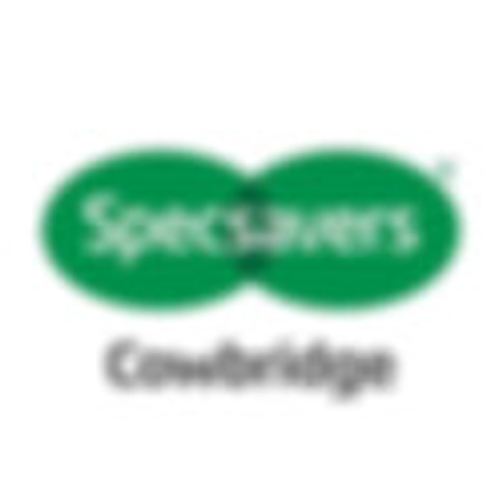 Cowbridge Cricket Club