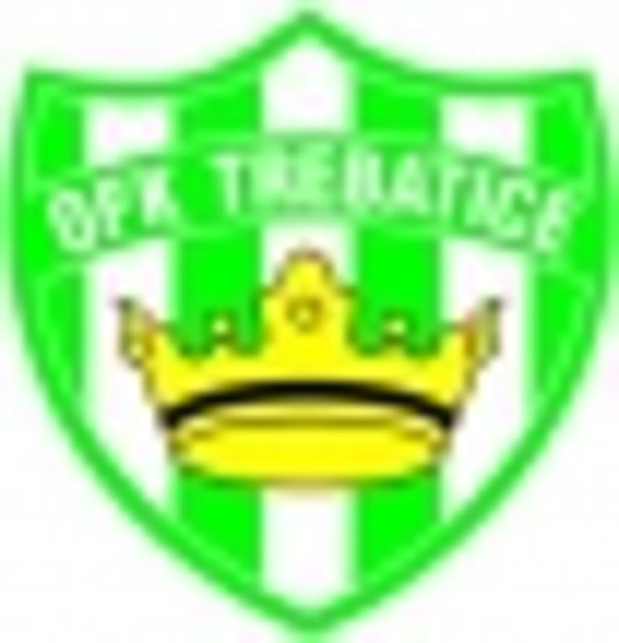 AFC Nové Mesto nad Vàhom