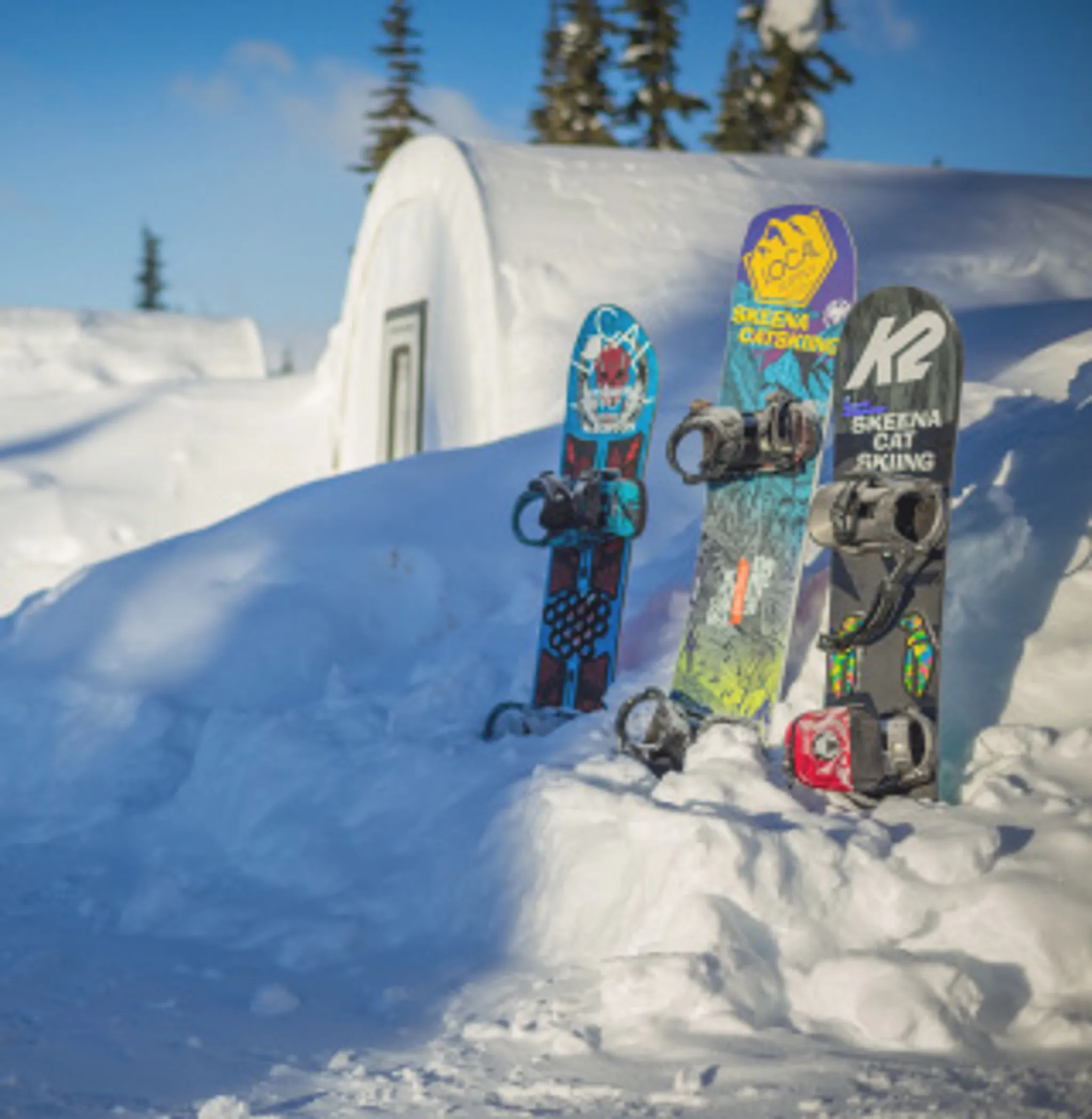 Skeena Cat Skiing Inc.