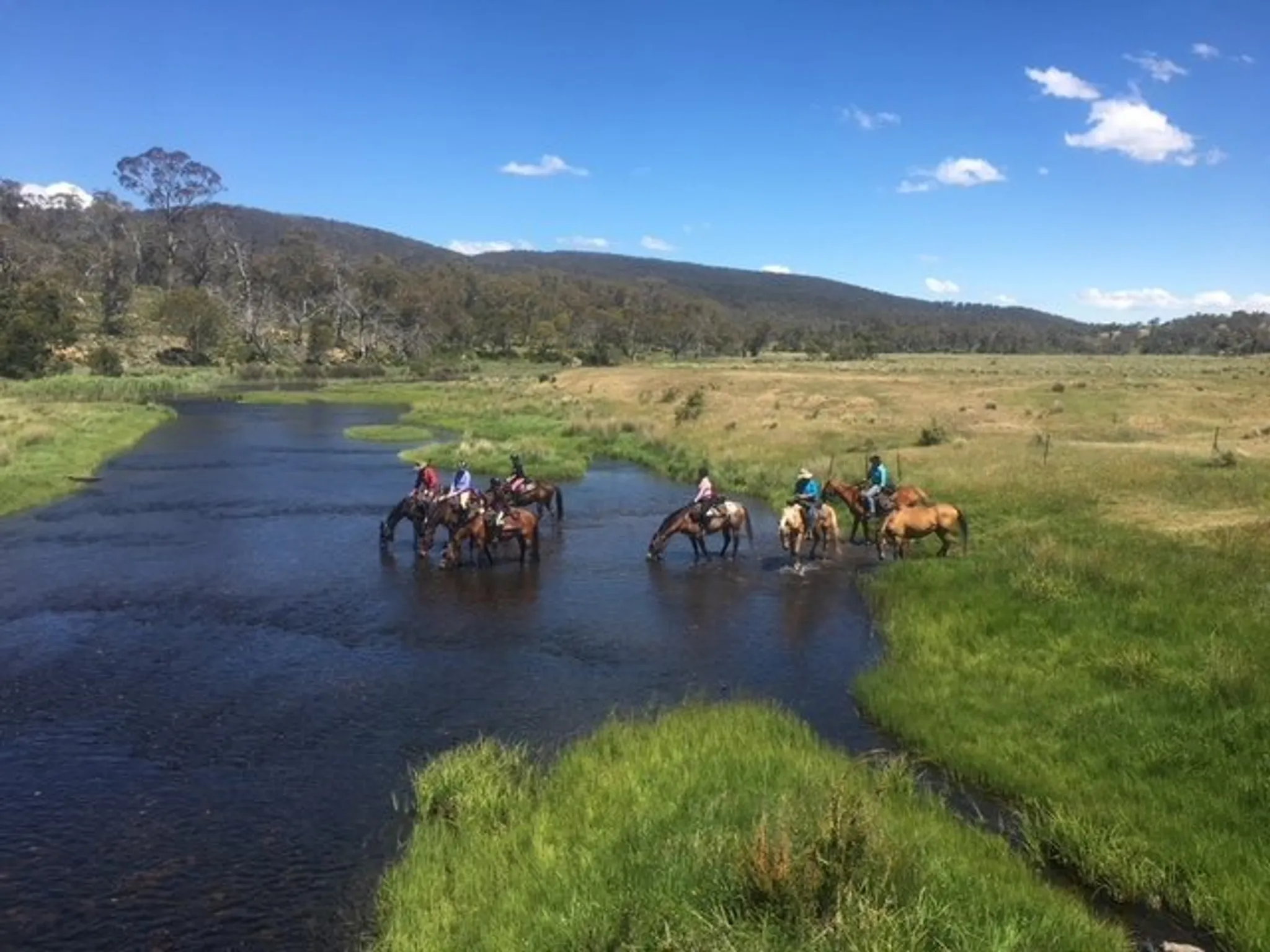 Man From Snowy River Festival 2025 - Ride to the Festival