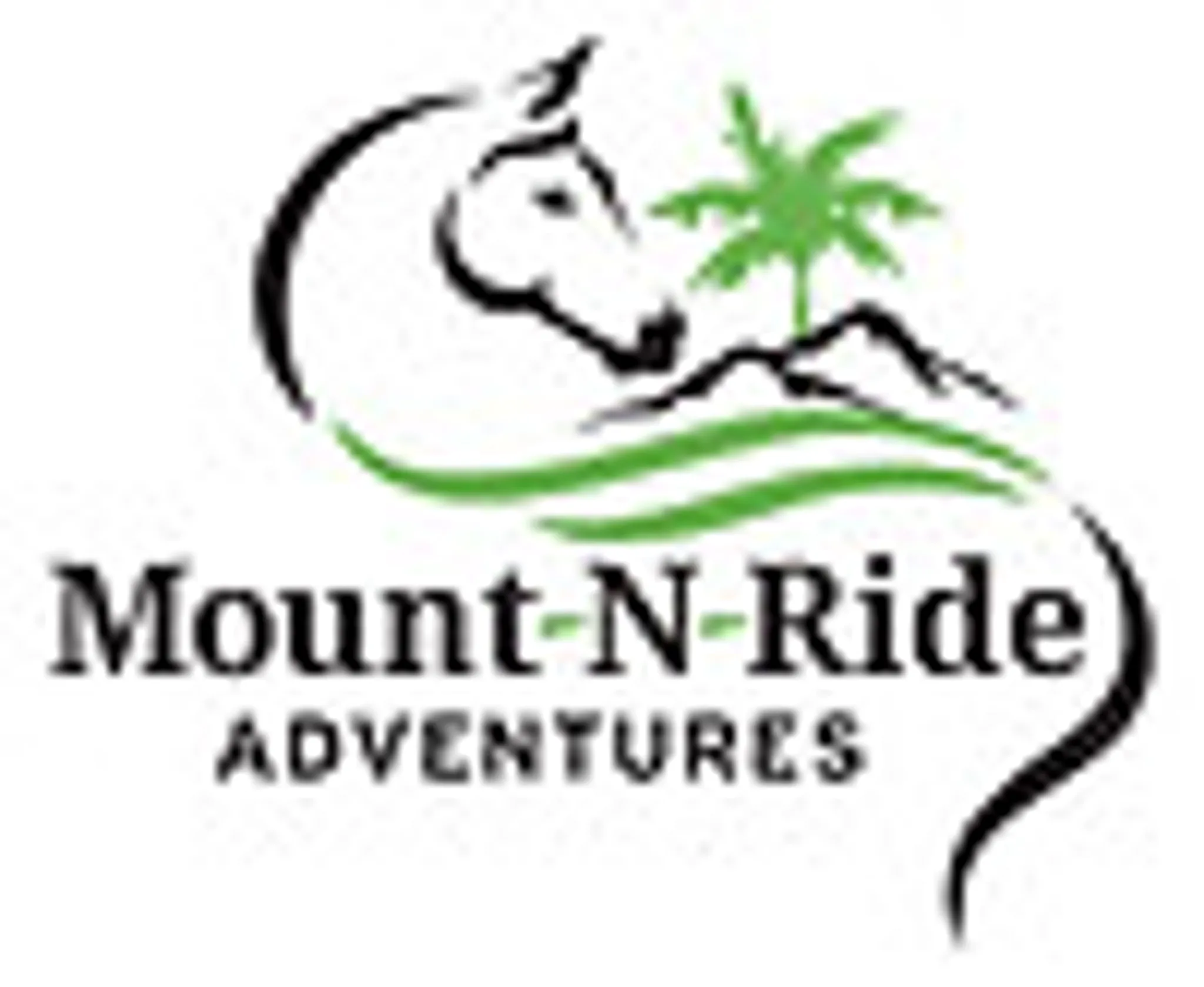 Mount N Ride Rainforest Horseback Tours Cairns