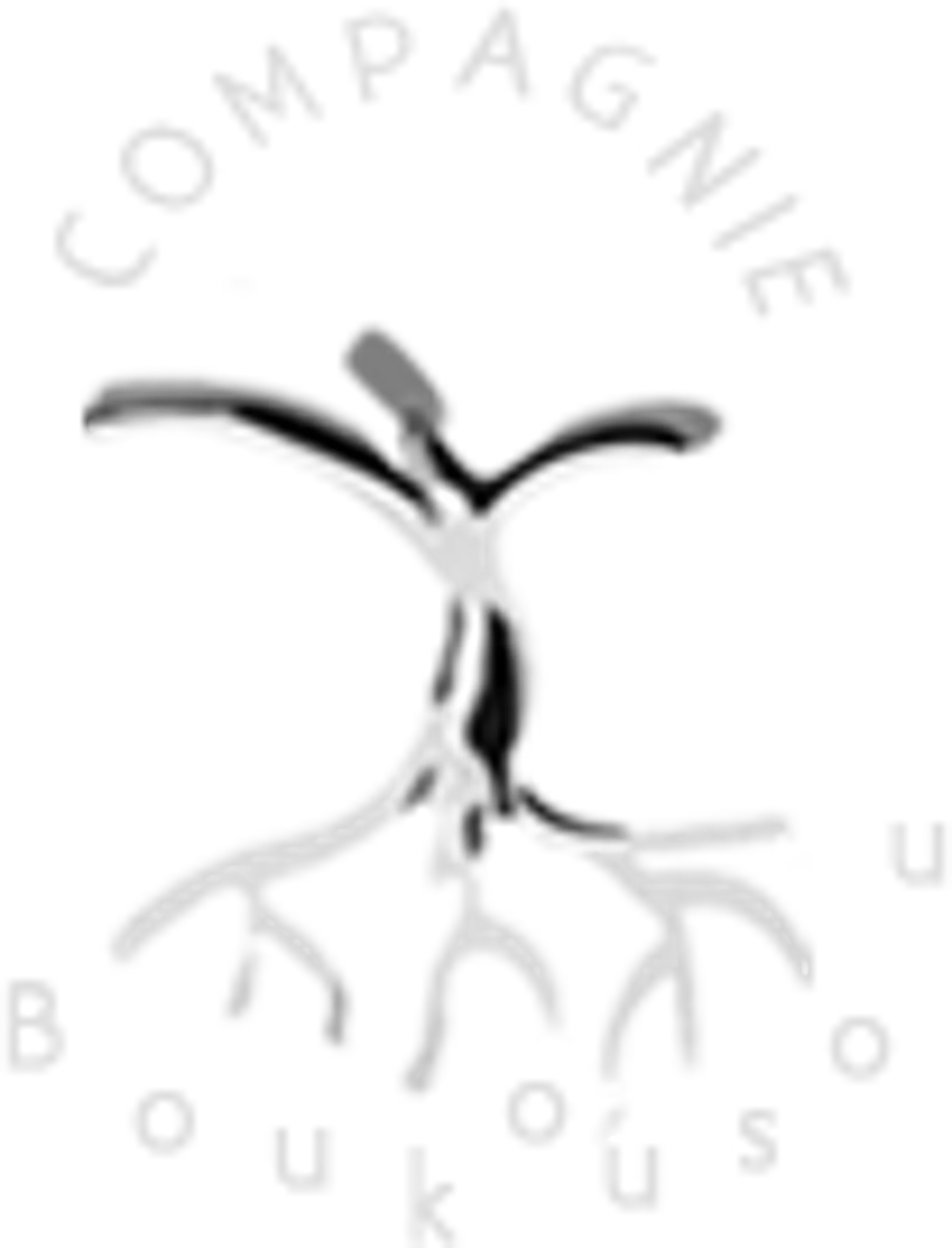 Compagnie Boukousou danse contemporaine