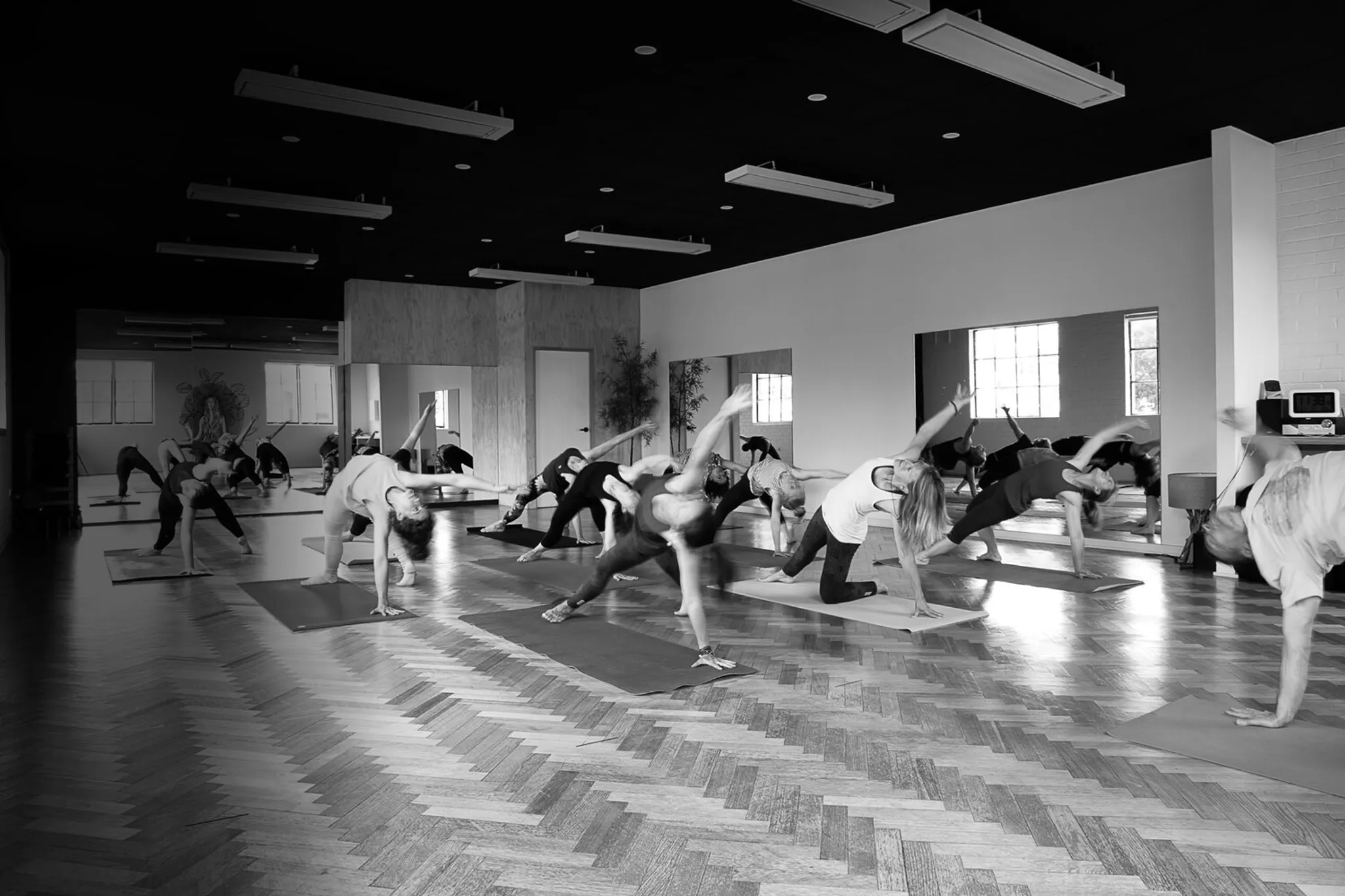 Ancestral Voices Forrest Yoga Workshop series