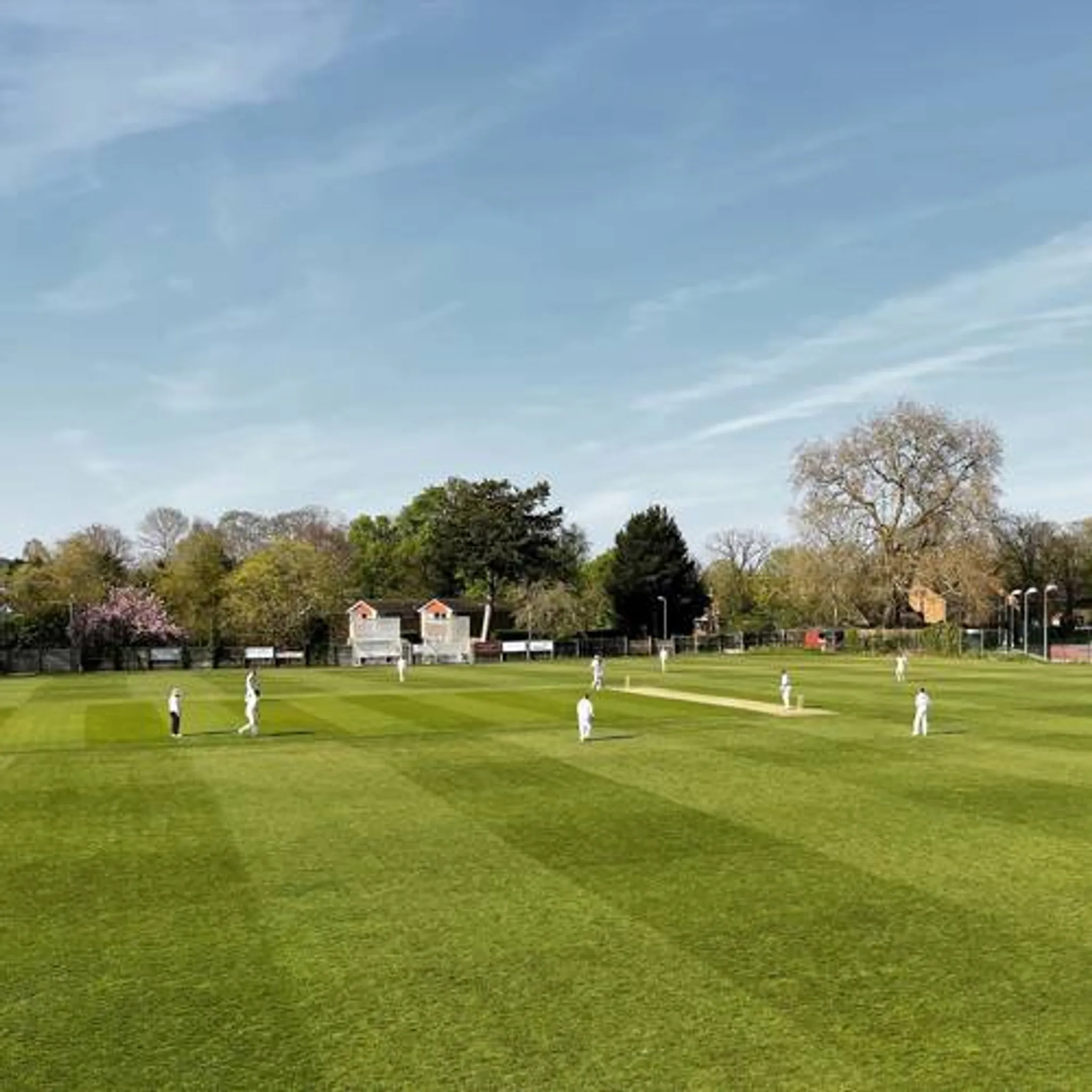 Adult Cricket At Marlow Cricket Club