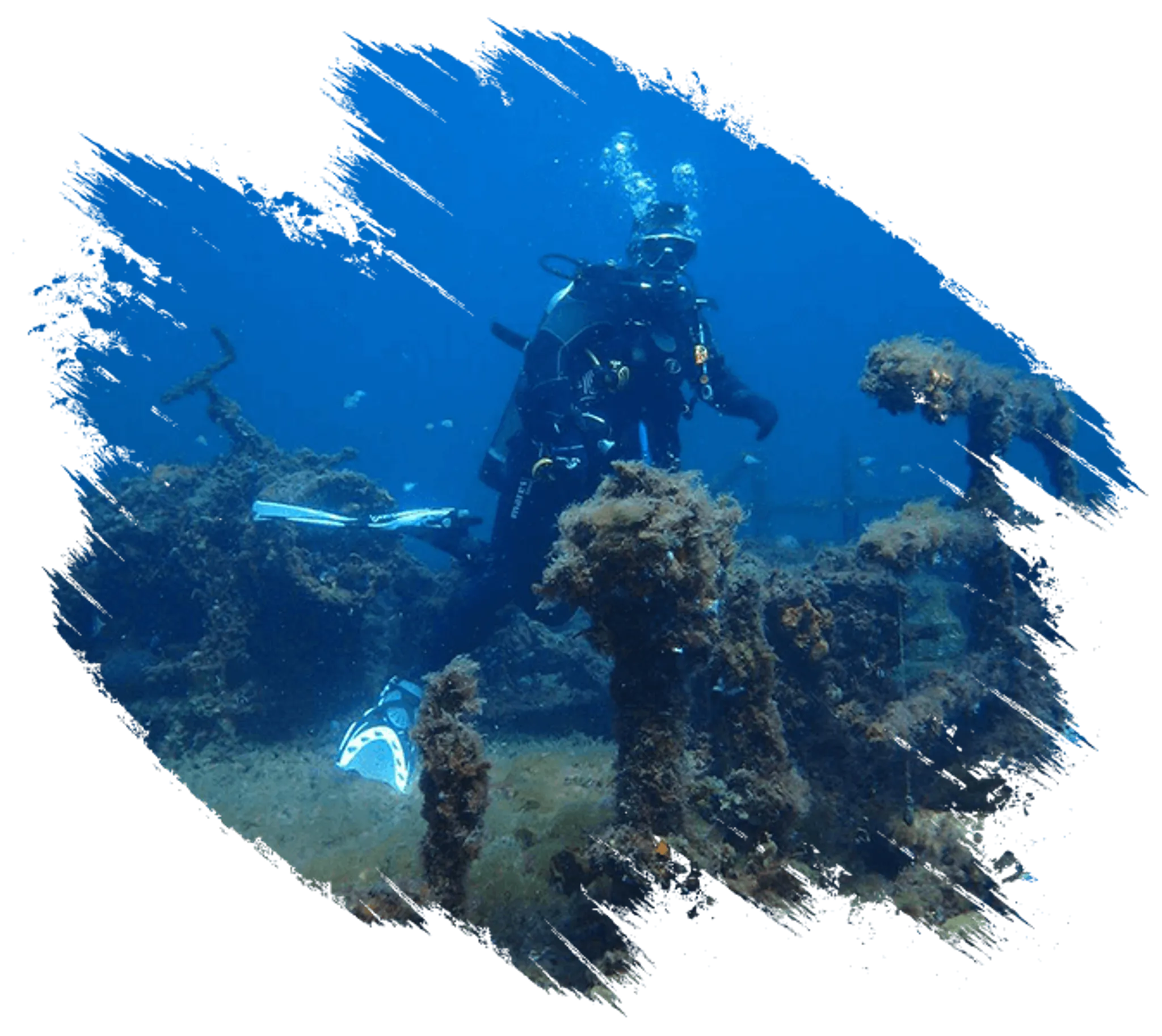 Dive Diving Bunbury Waters