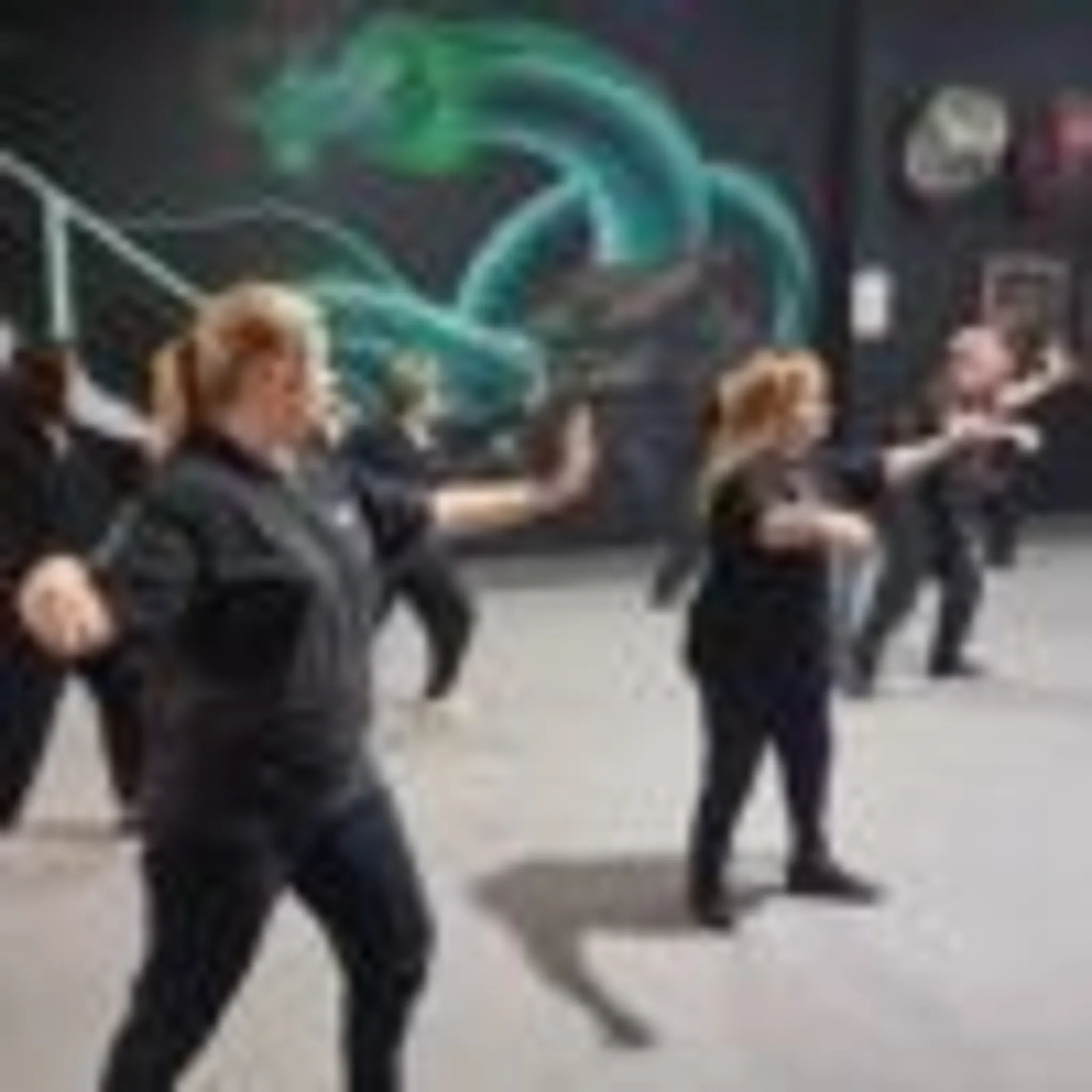Emerald Dragon Martial Arts Penrith