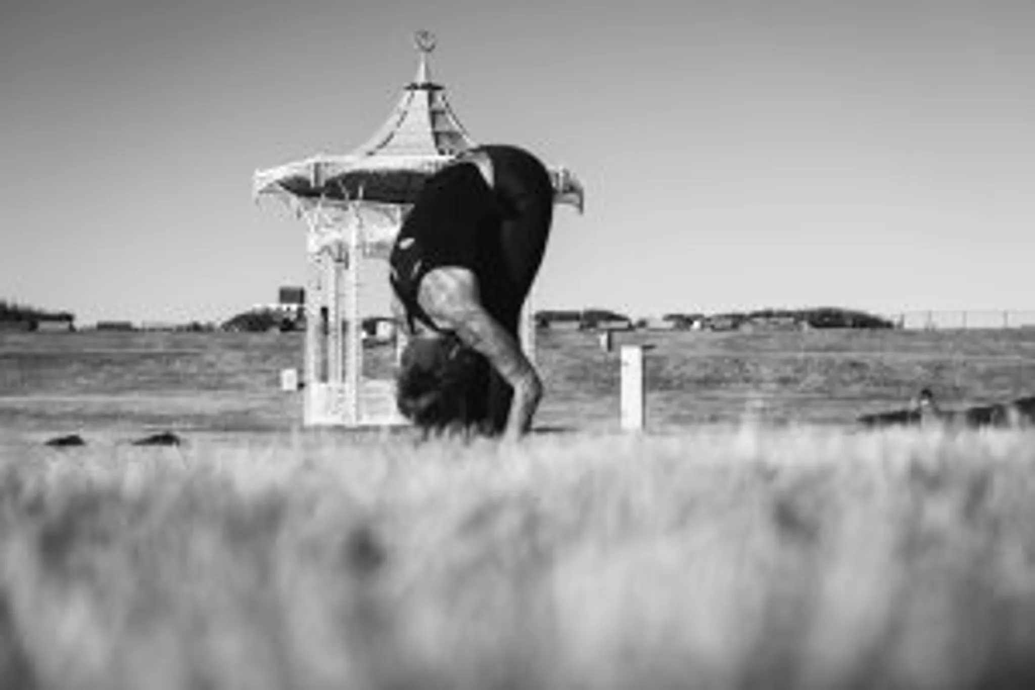 Yoga with Erika Southsea