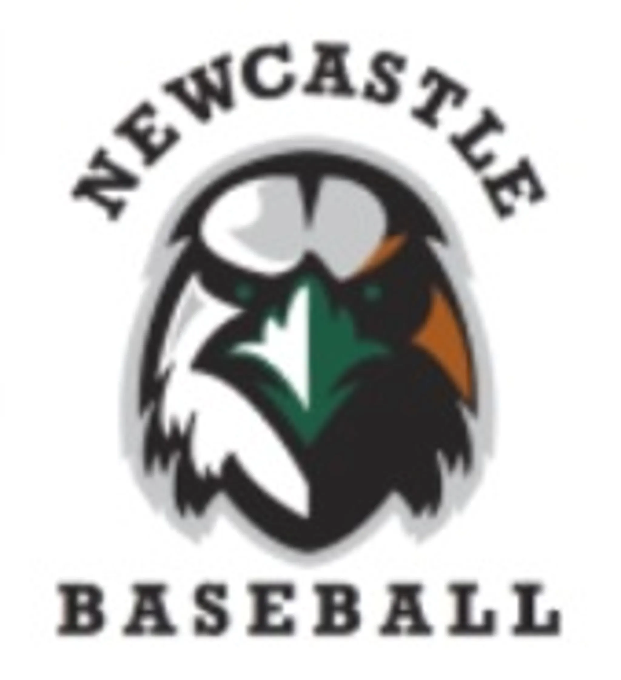 Newcastle Baseball Association