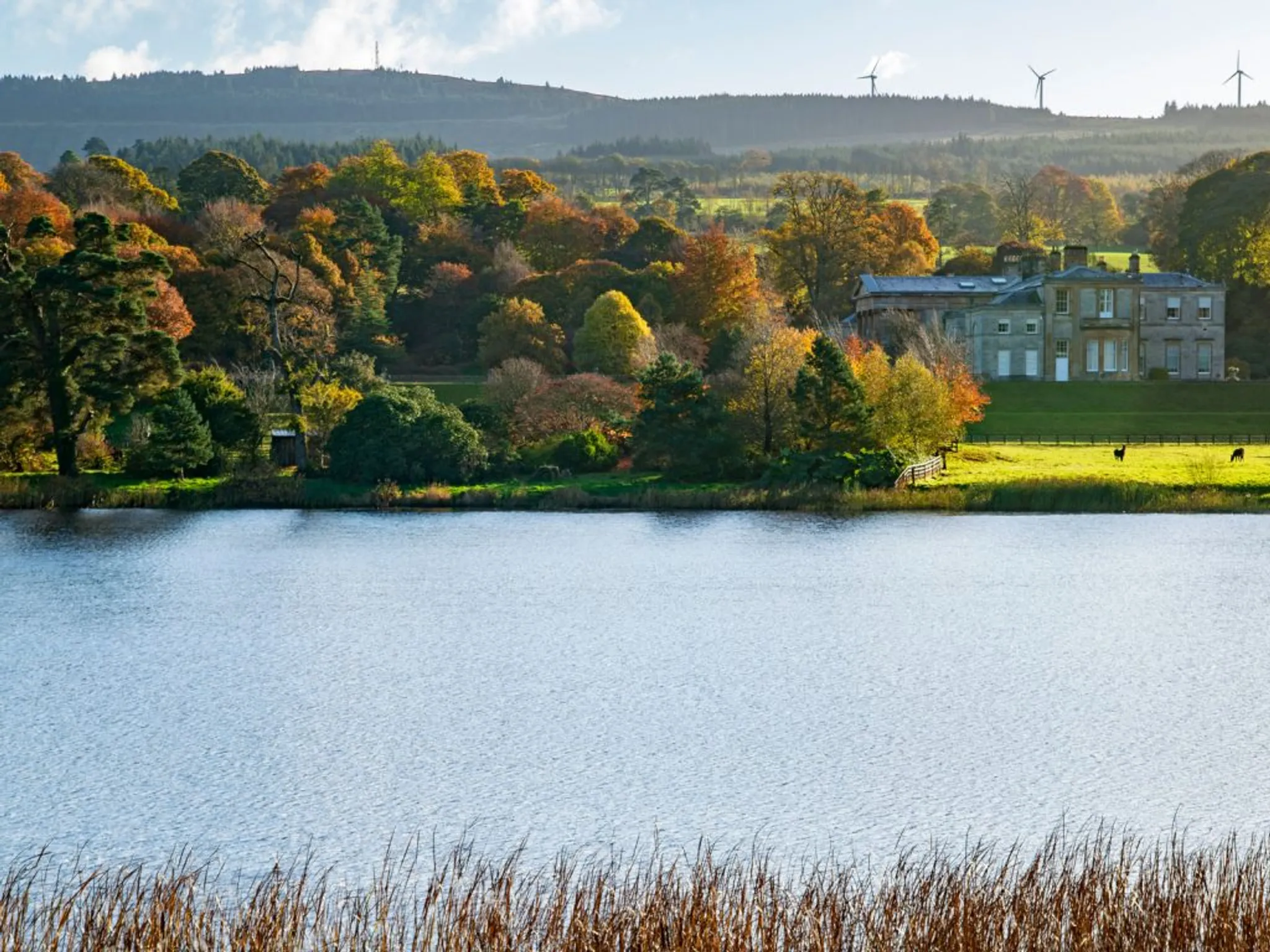 Pike Fishing on Baronscourt Lakes