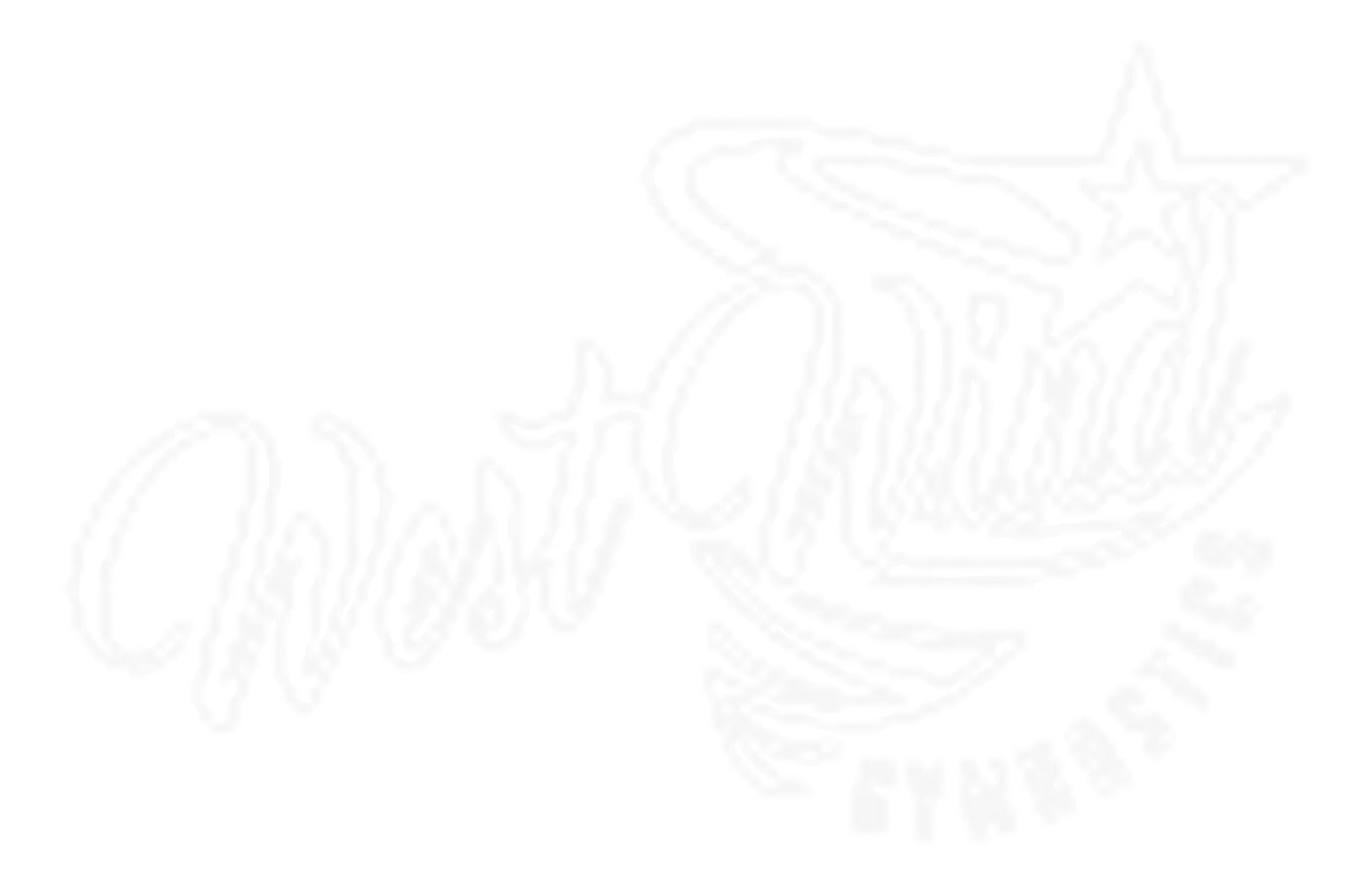 West Wind Gymnastics Club