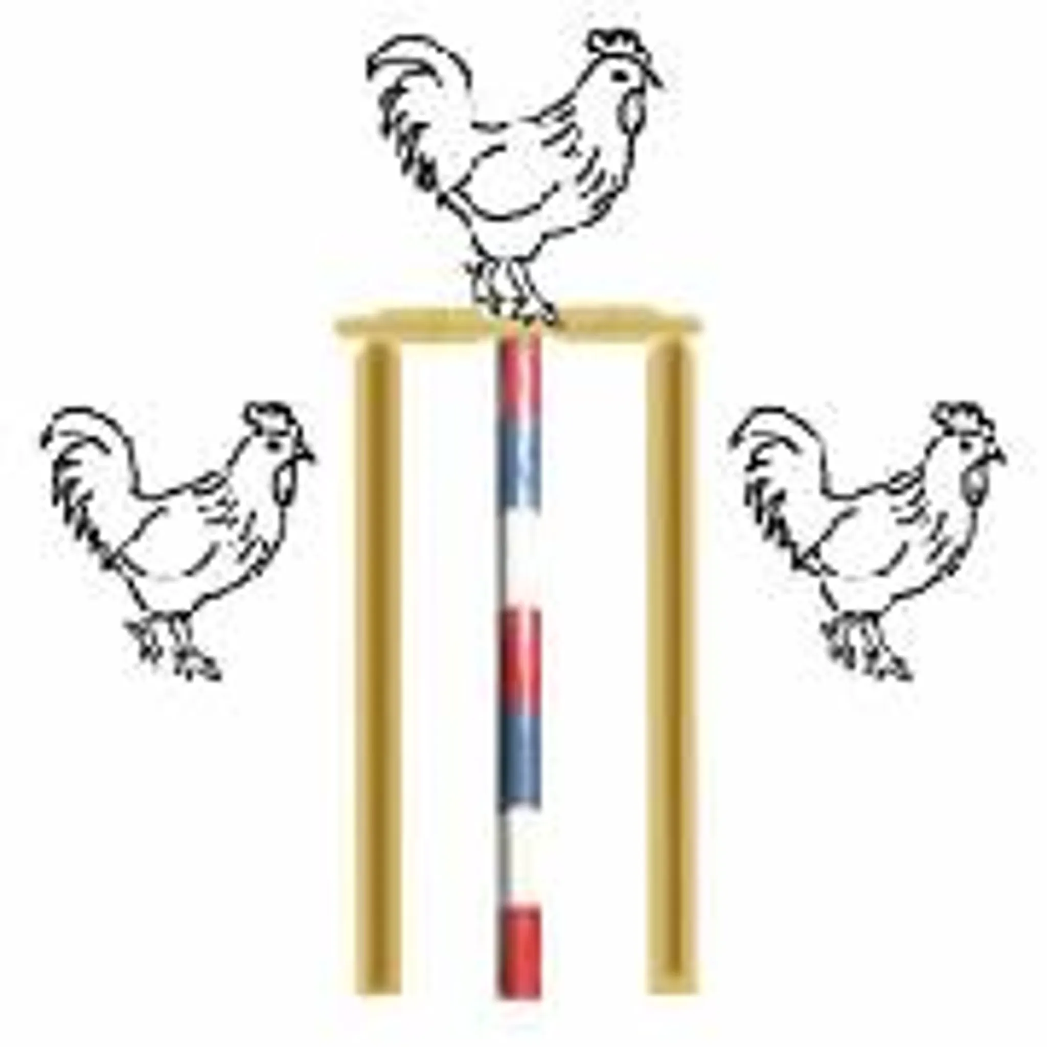 Offenham Cricket Club