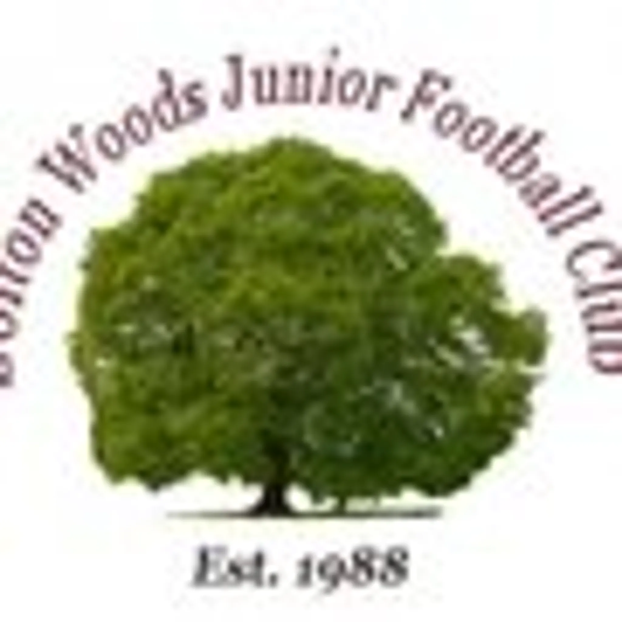 Bolton Woods Junior Fc