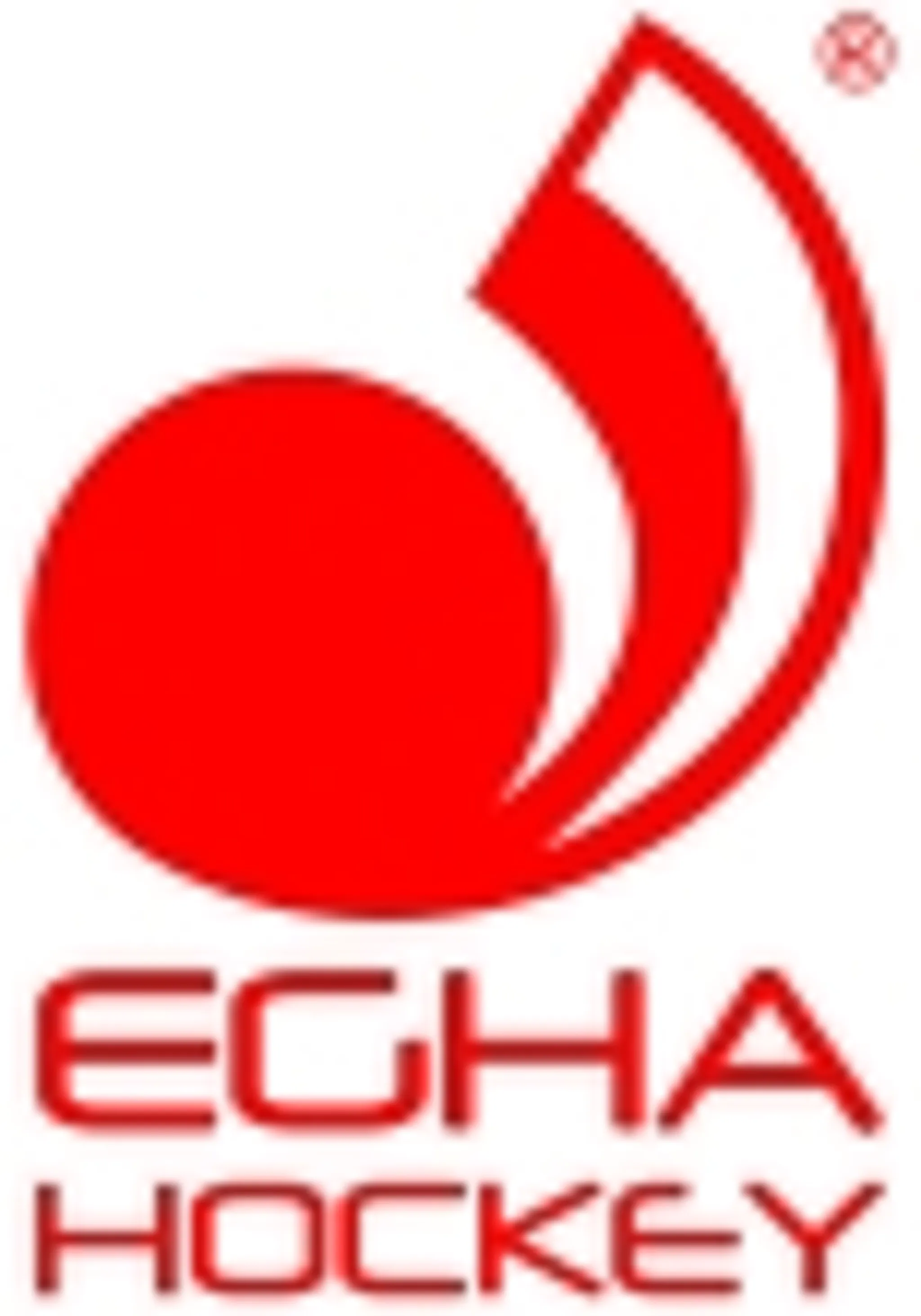 EG Hockey Academy LLP