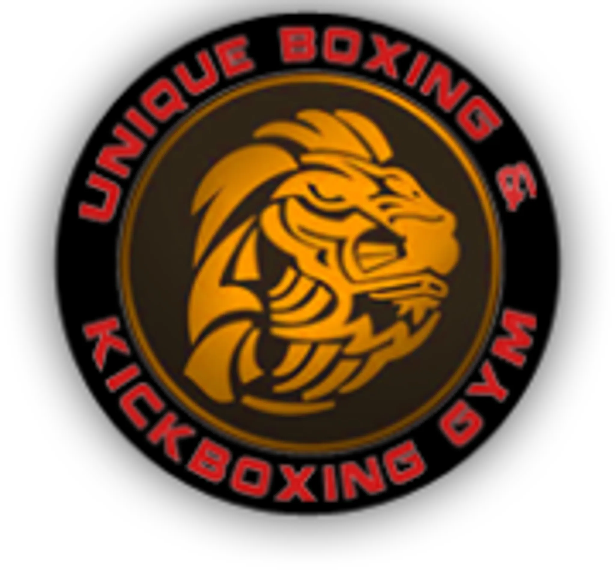 Unique fitness centre - Boxing & K1- Kickboxing gym