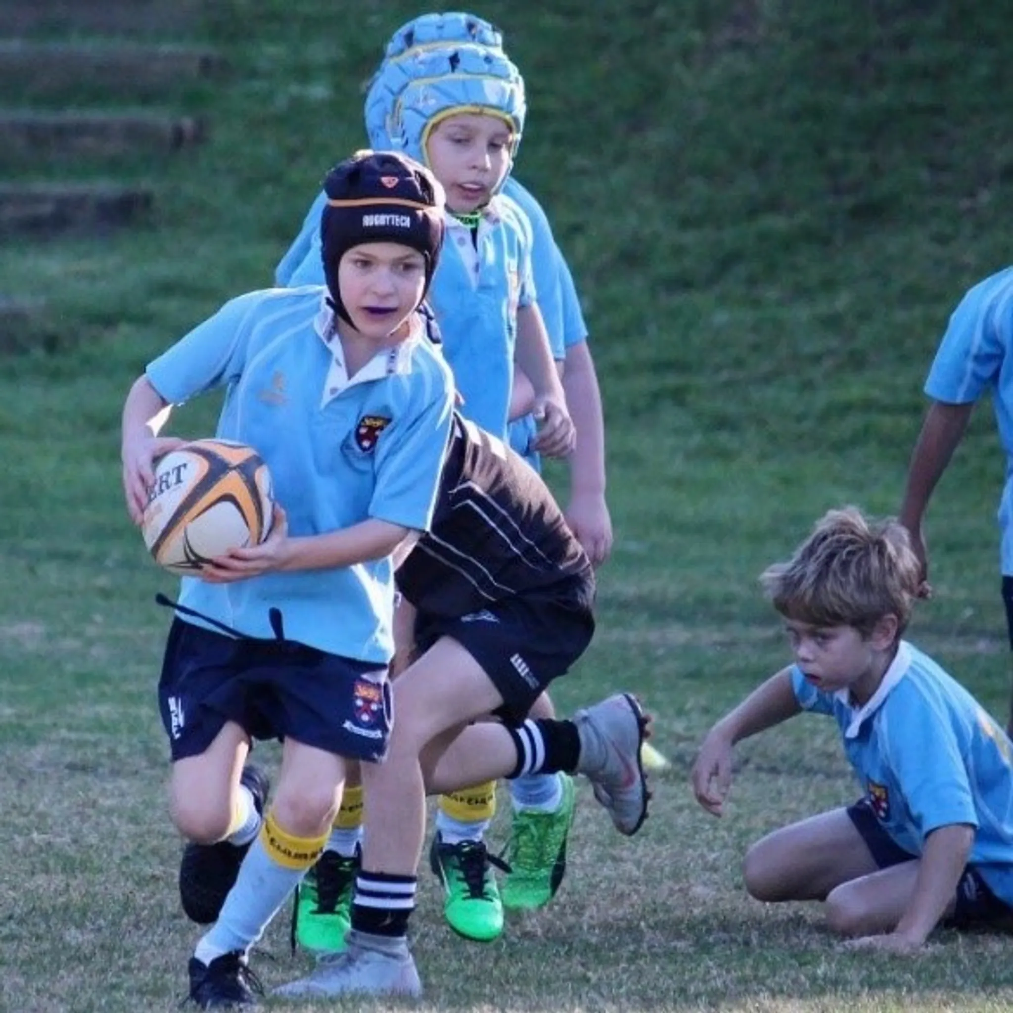 Wakehurst Rugby Juniors