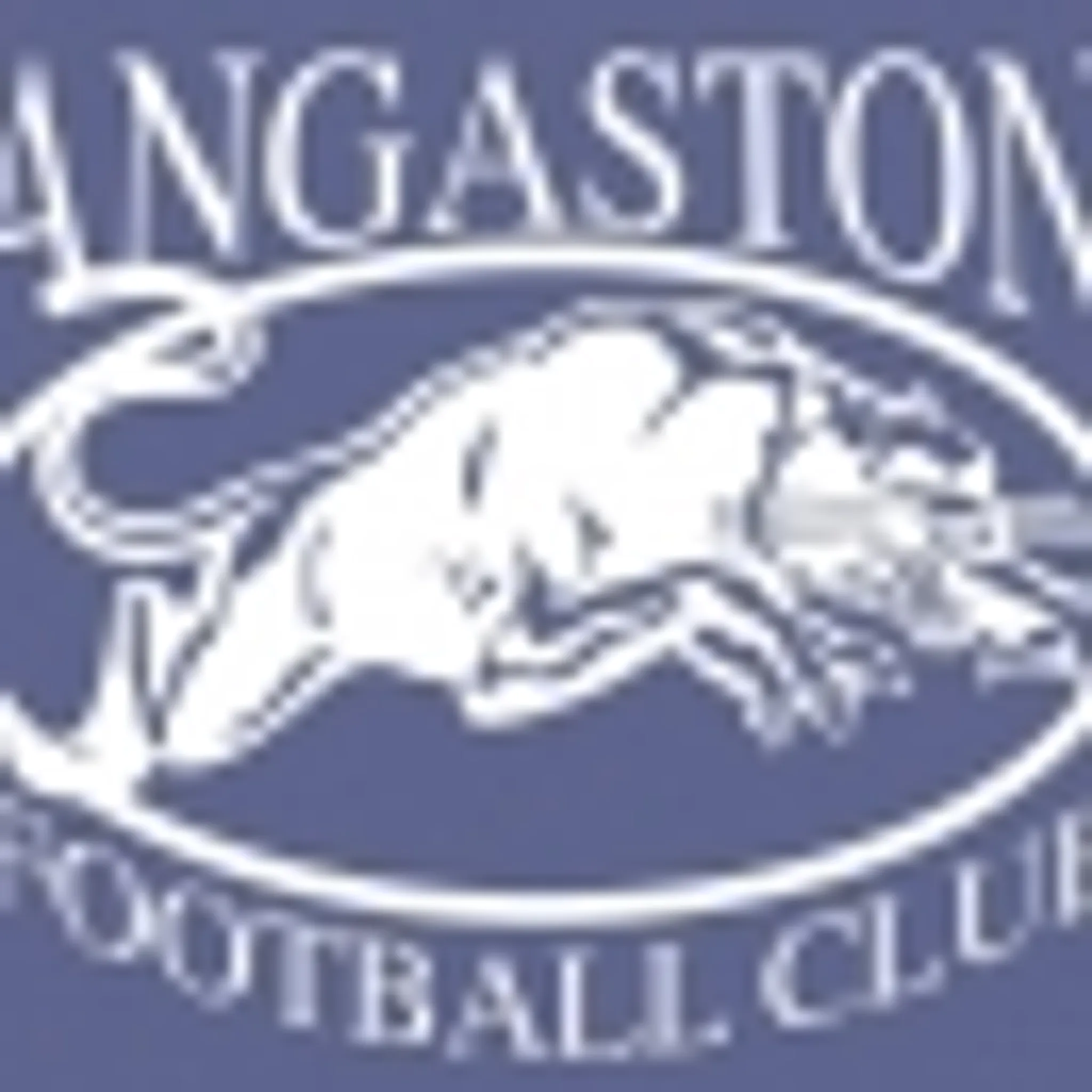 Angaston Football Club