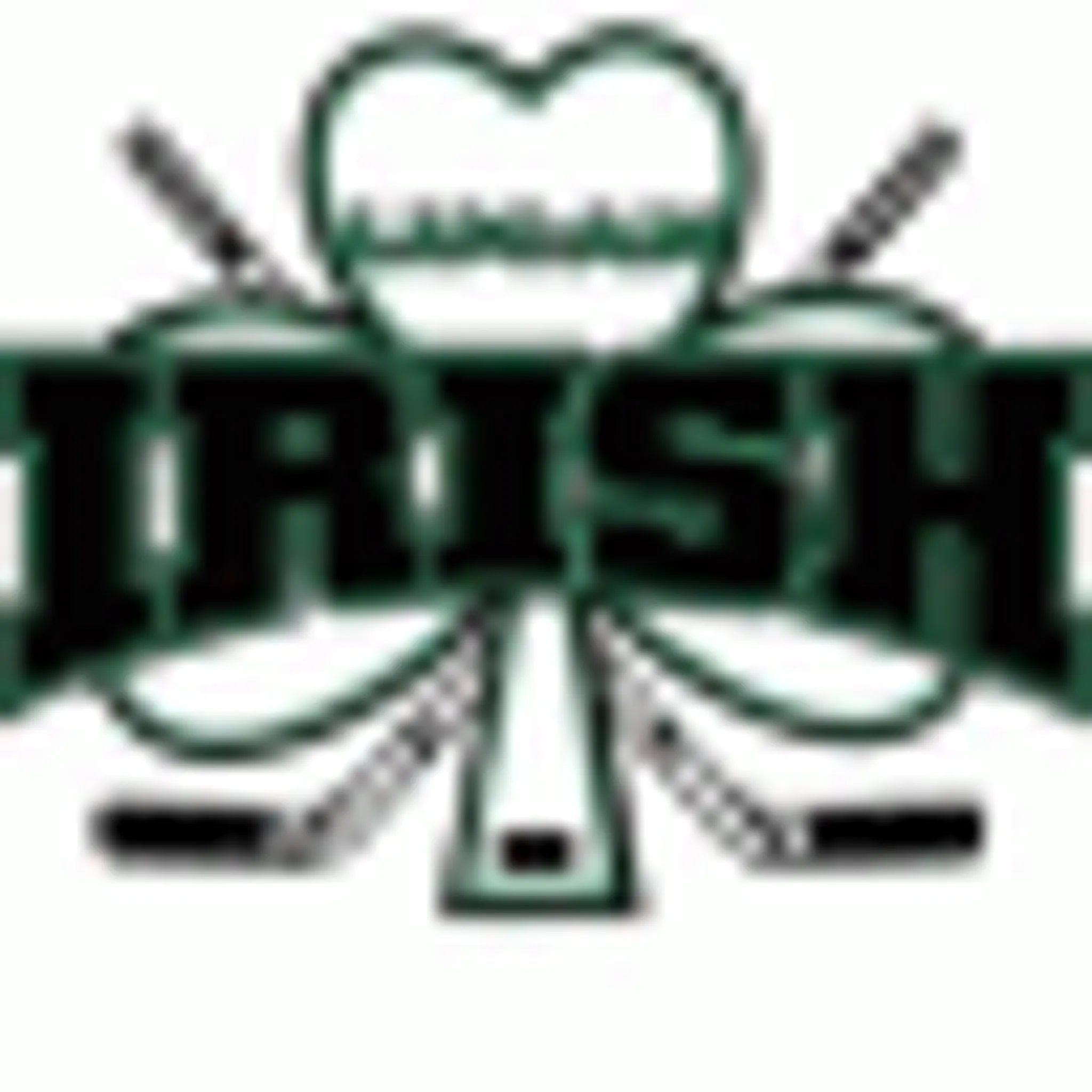 Wingham Ironmen Jr. C.