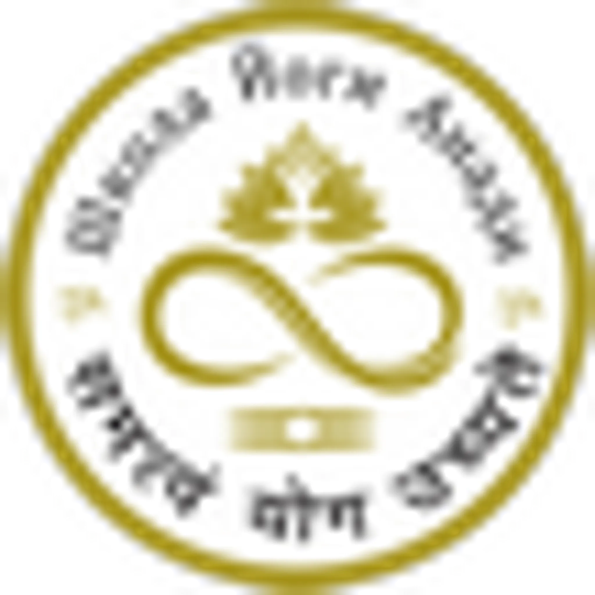 ООО " Школа Йоги Анади"