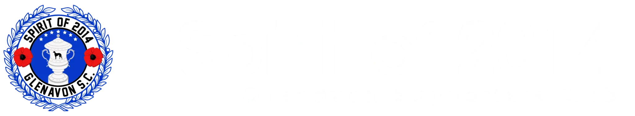 Spirit of 2014 Glenavon Supporters Club