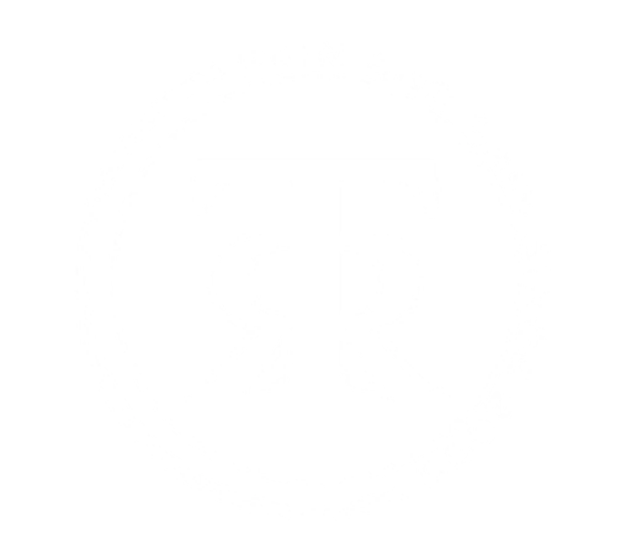 Pilates at Bondi Junction