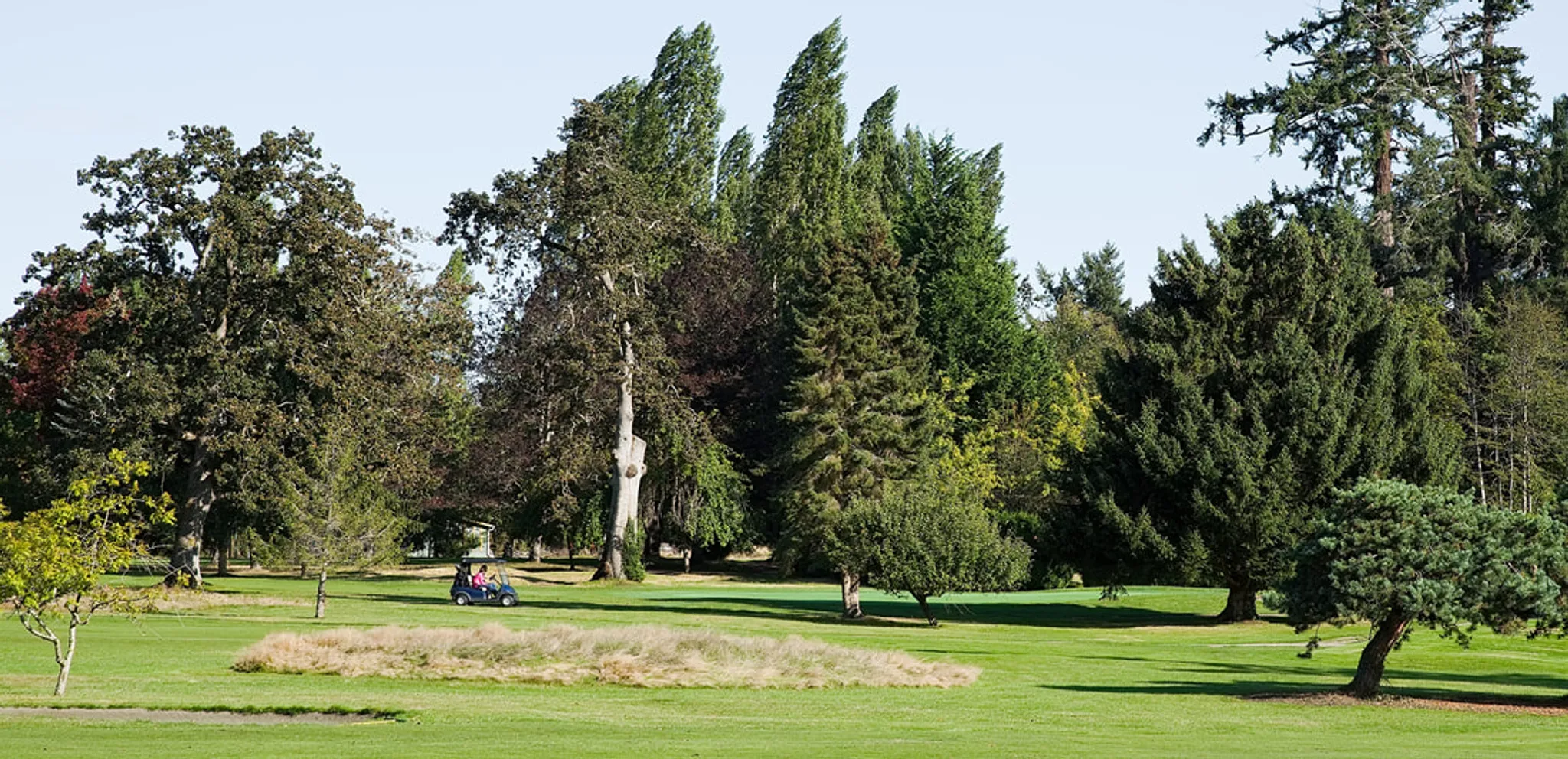 Ardmore Ladies' Club Golf Sessions