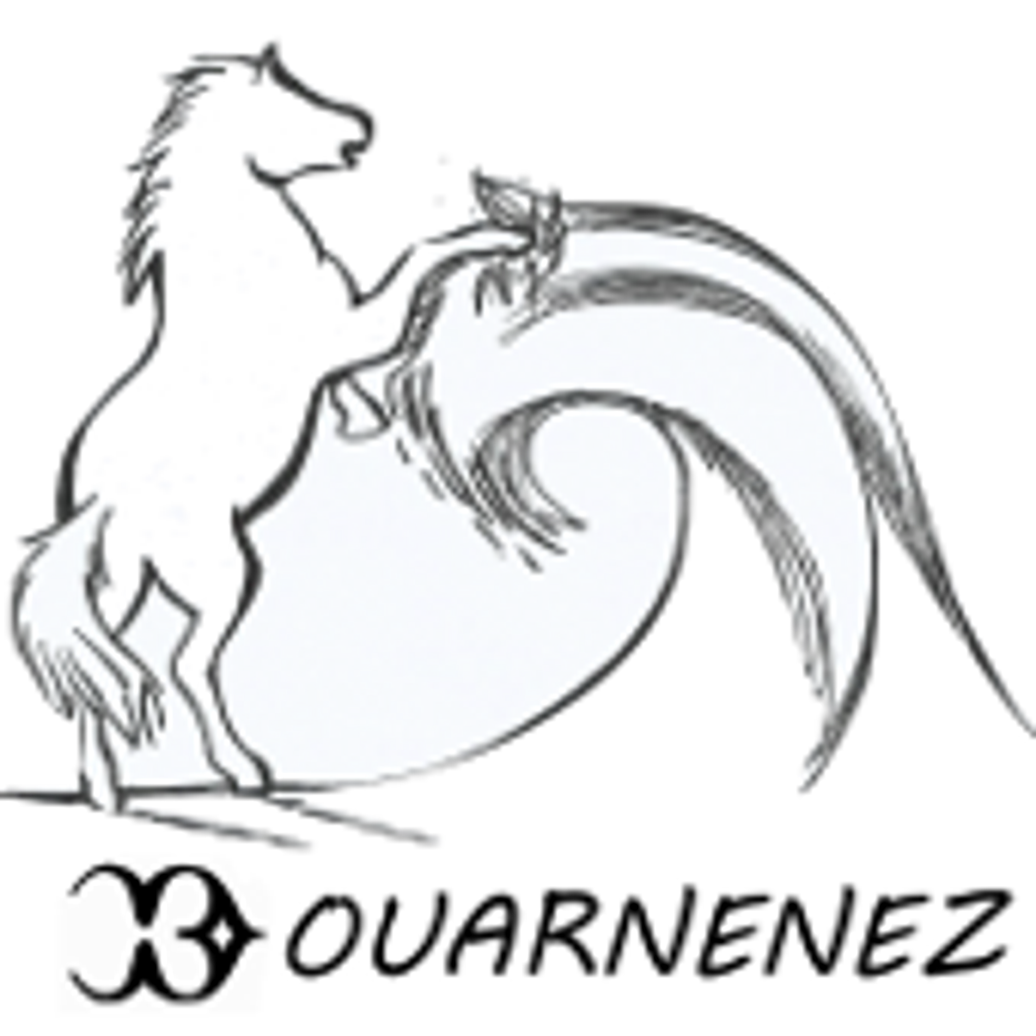 centre equestre poney club de douarnenez