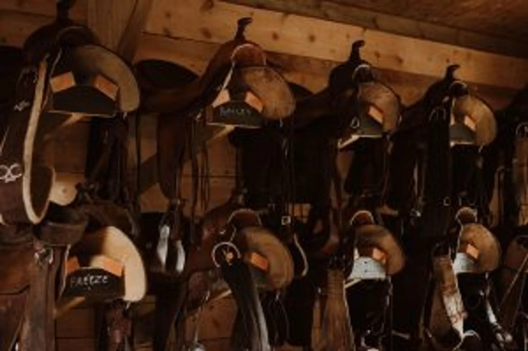 Dartmoor Riding Holidays