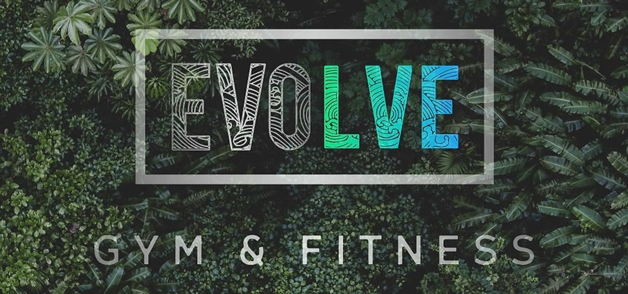 EVOLVE GYM & FITNESS