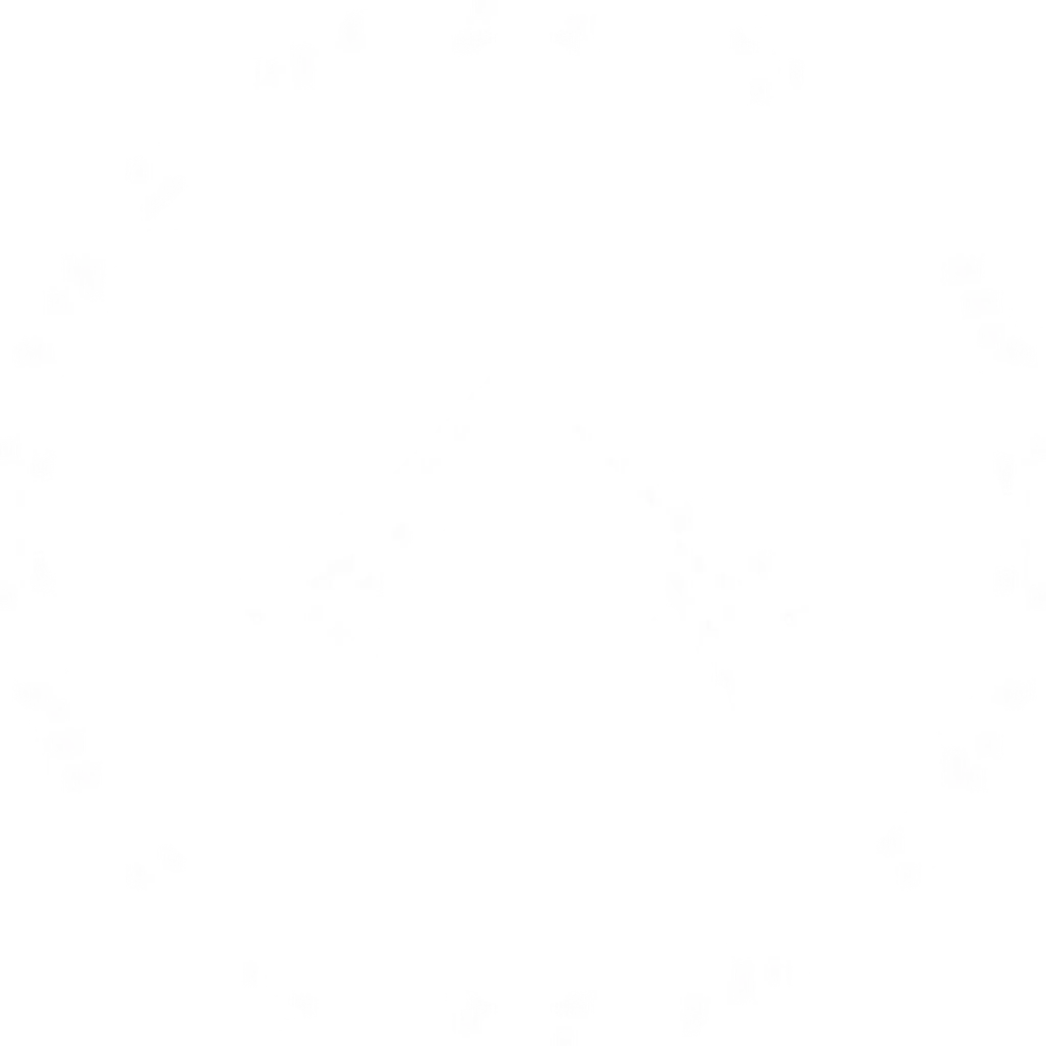 Tsubasa Bicycles / Custom Carbon Bicycles