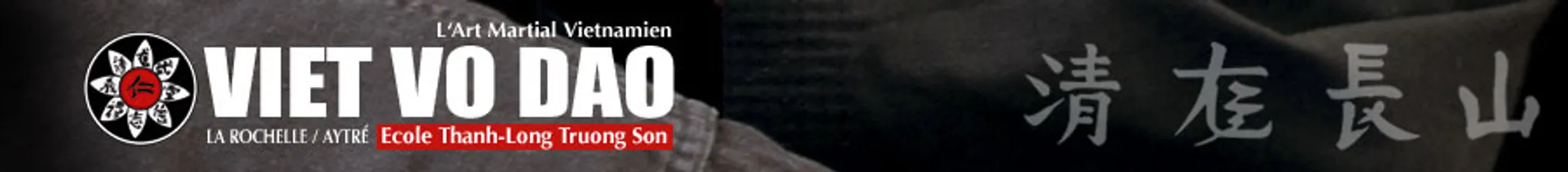 Club Viet Vo Dao Rochelais