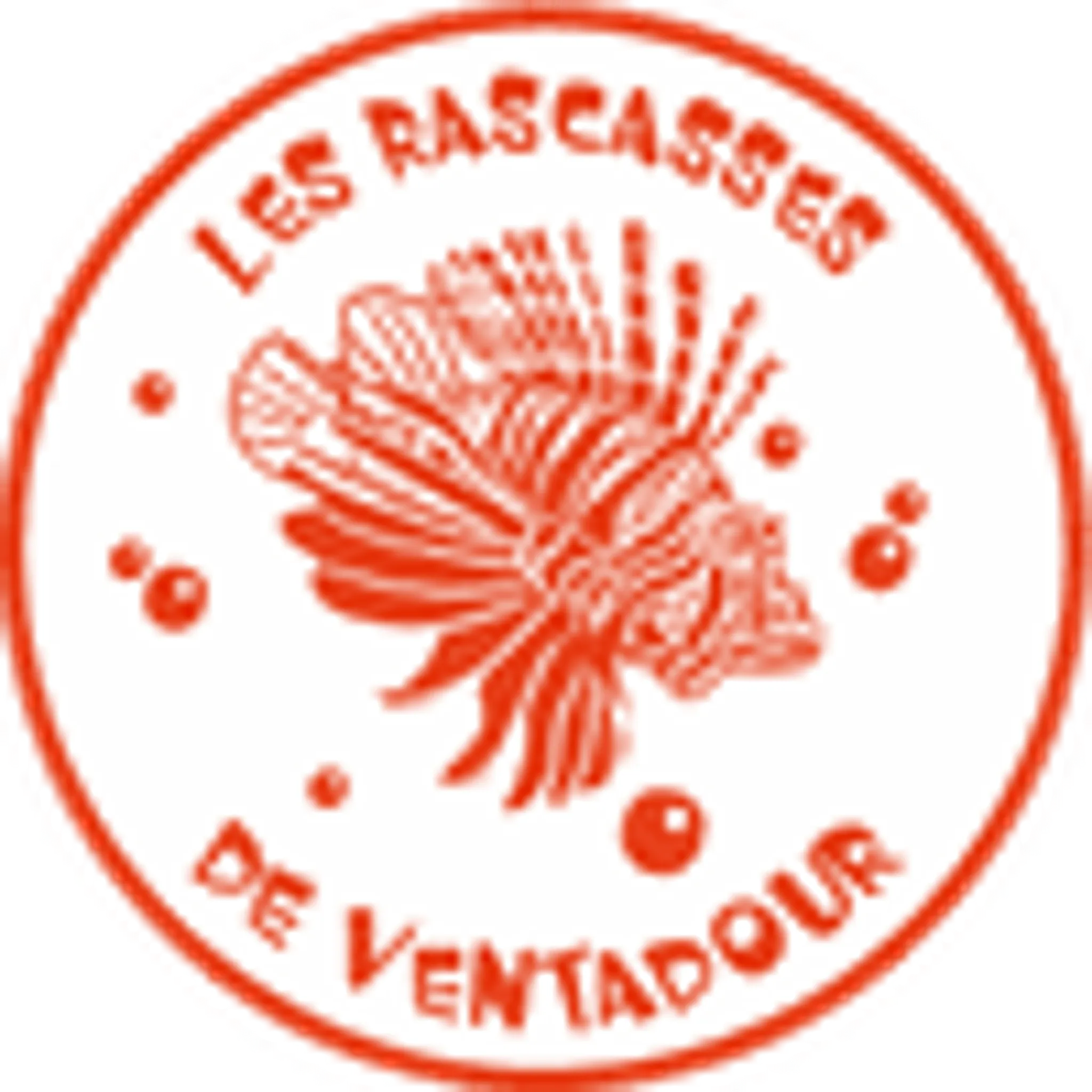 Les Rascasses de ventadour - Natation / Sport Santé