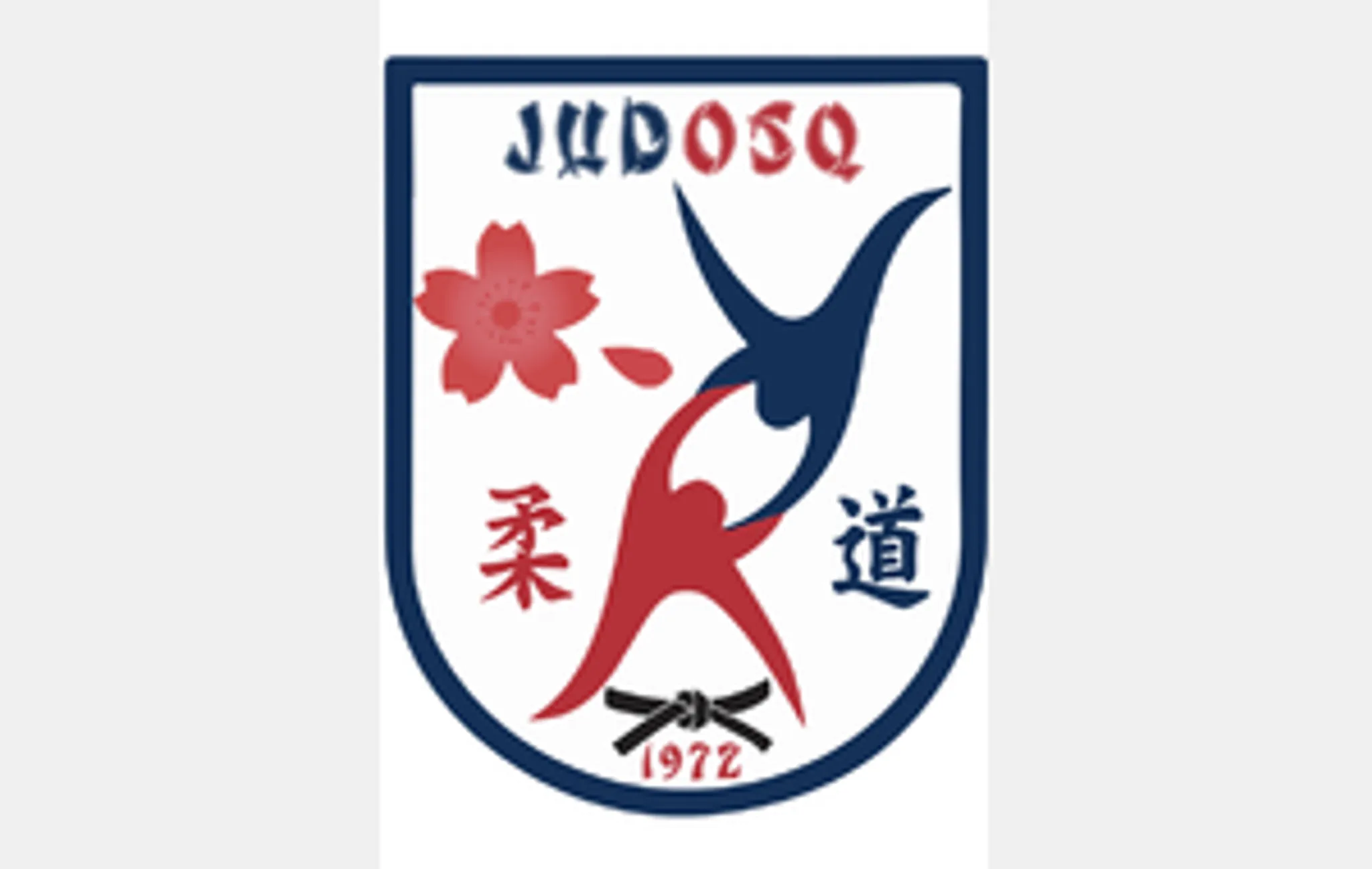 JUDOSQ St Quentin Fallavier