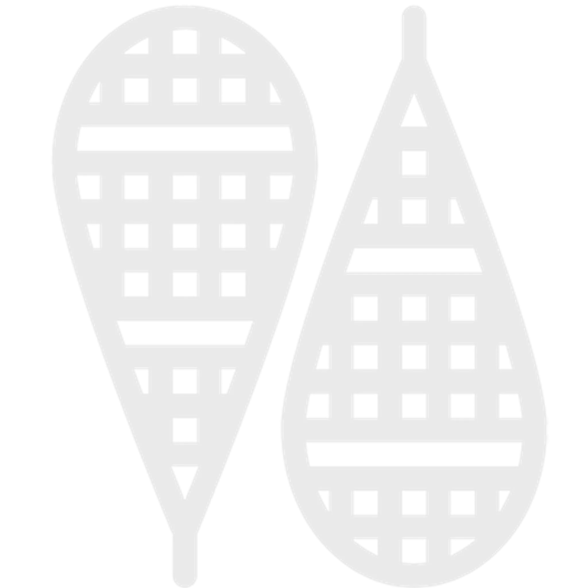 Airport Nordic Ski Club #5 Brown 0.3km Ski Trail