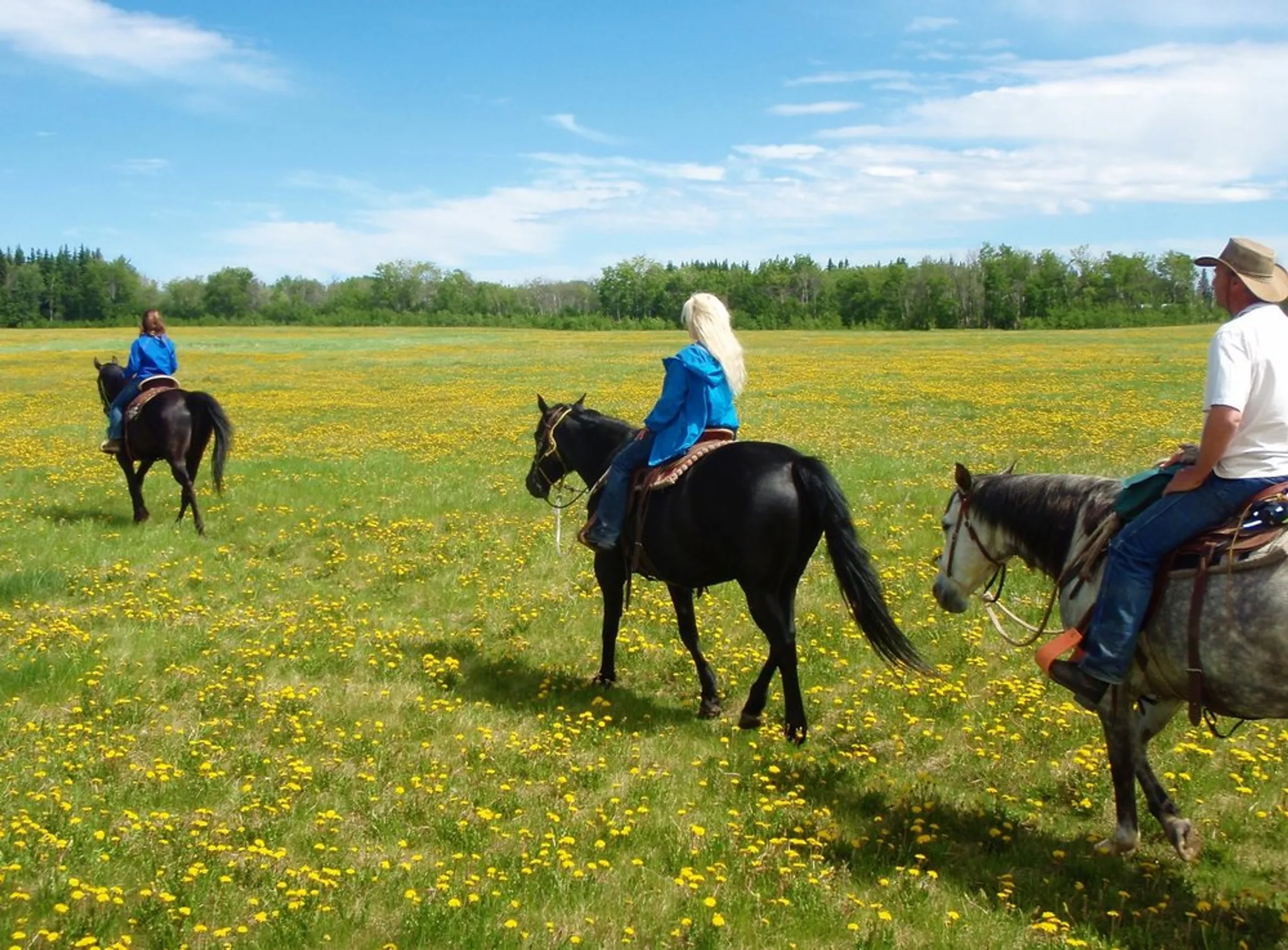 Horse Trekking Adventures