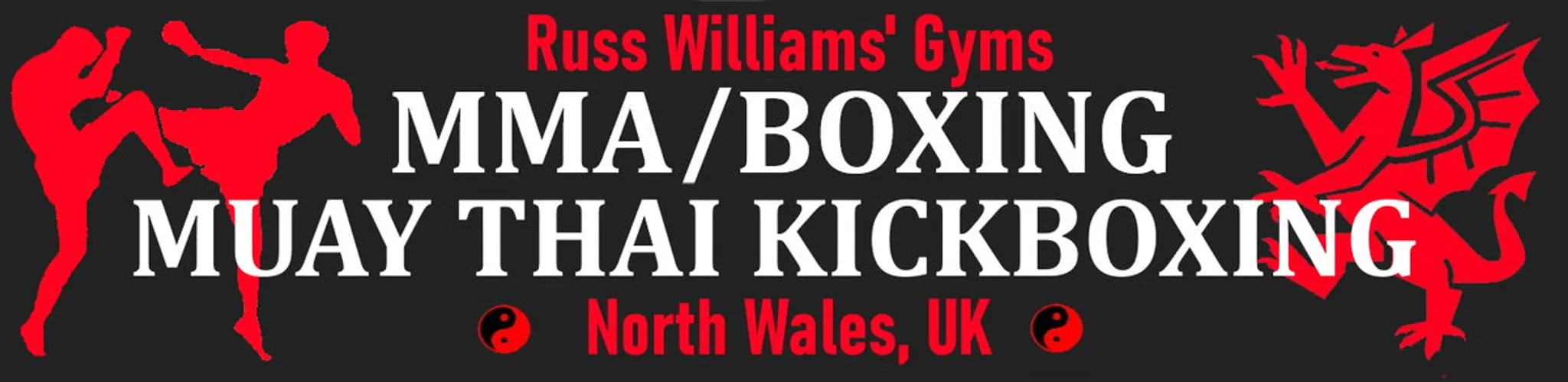 Russ Williams Martial Arts Caerwys