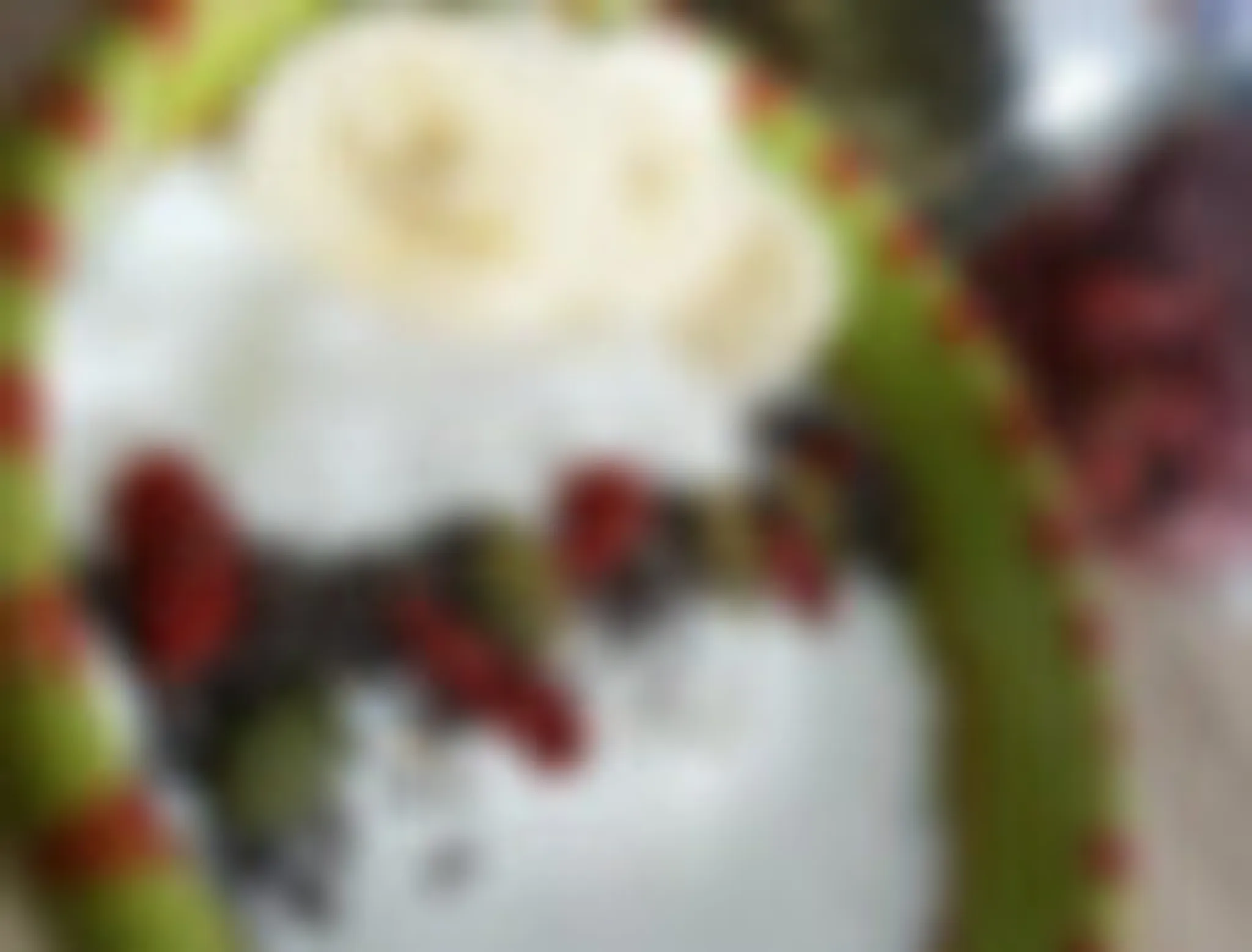 Justine Trainer Lille