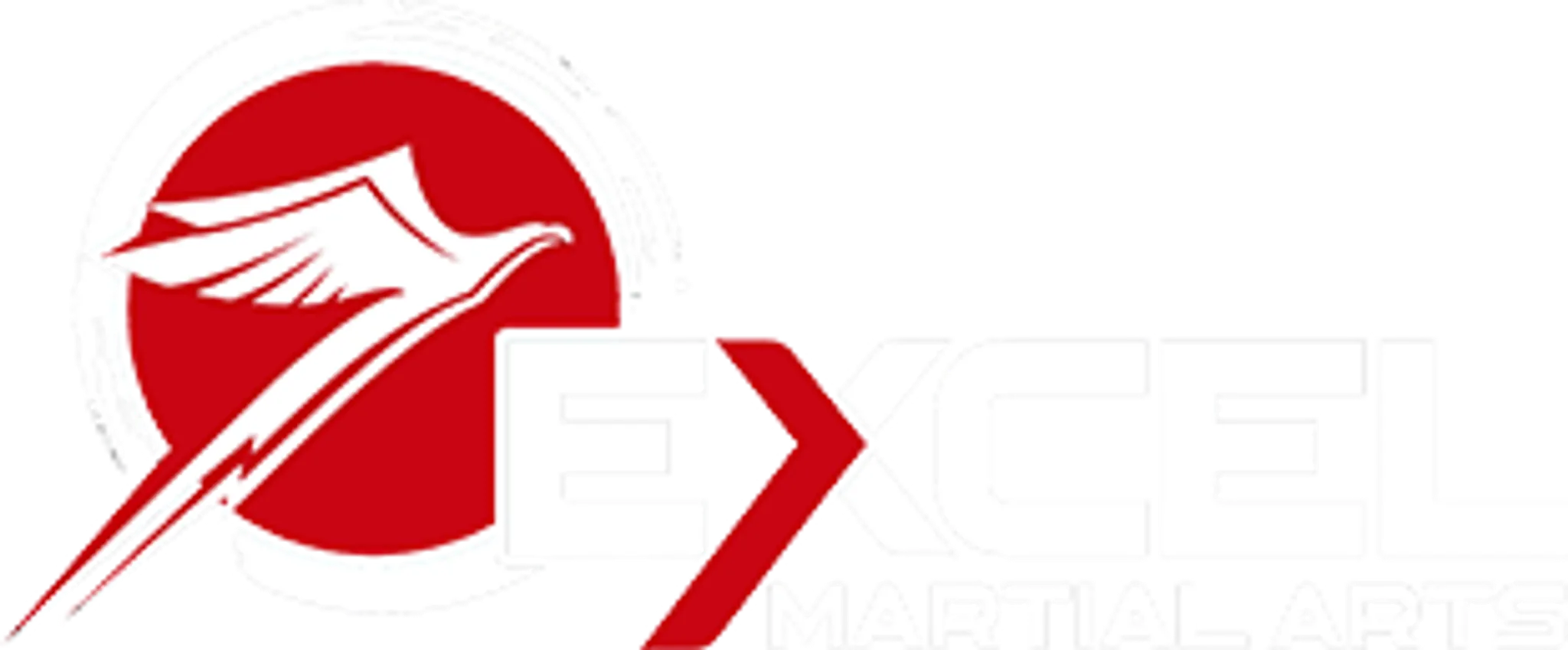 Excel Martial Arts Port Coquitlam