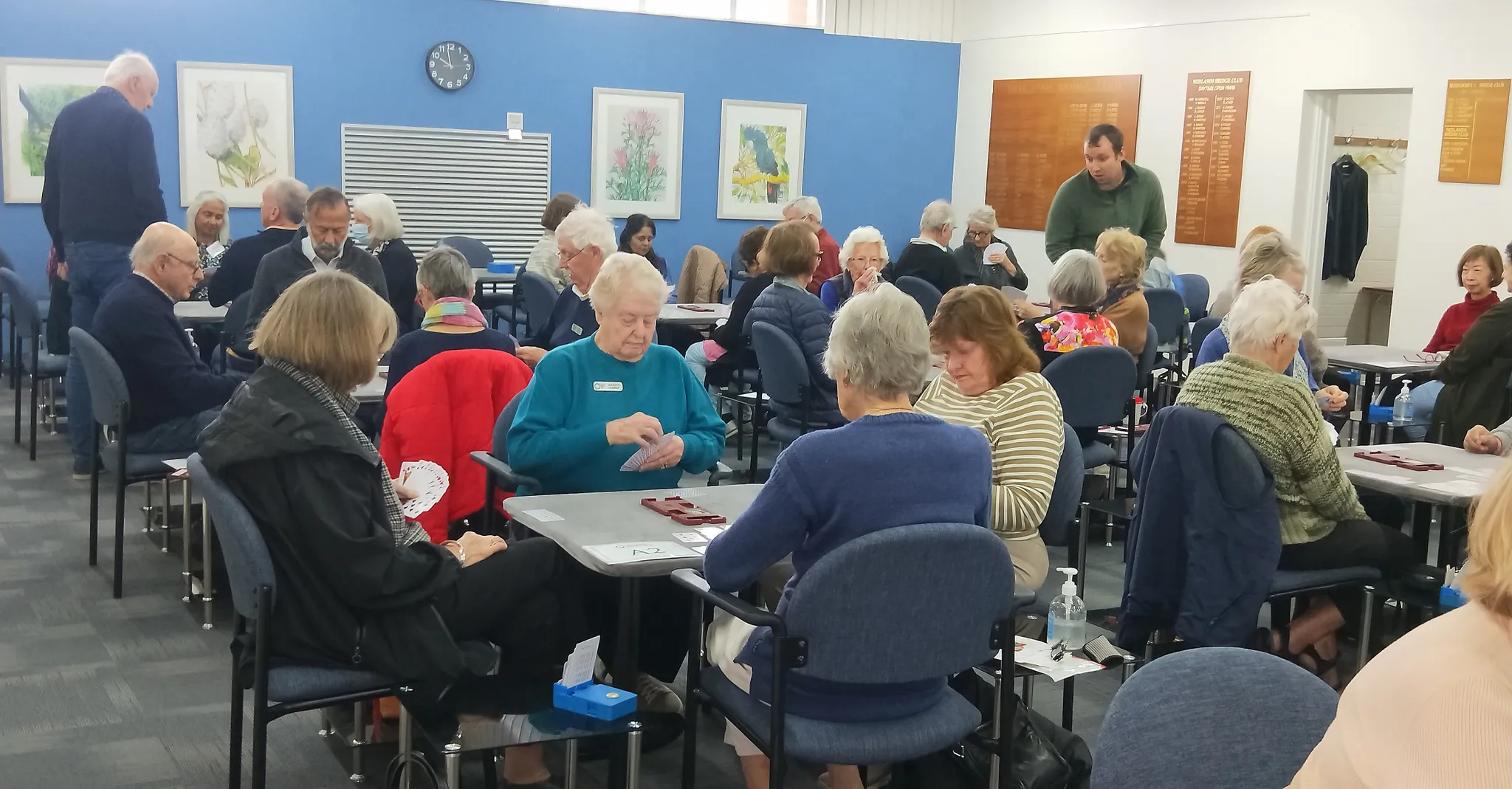 Australia Wide Novice Pairs