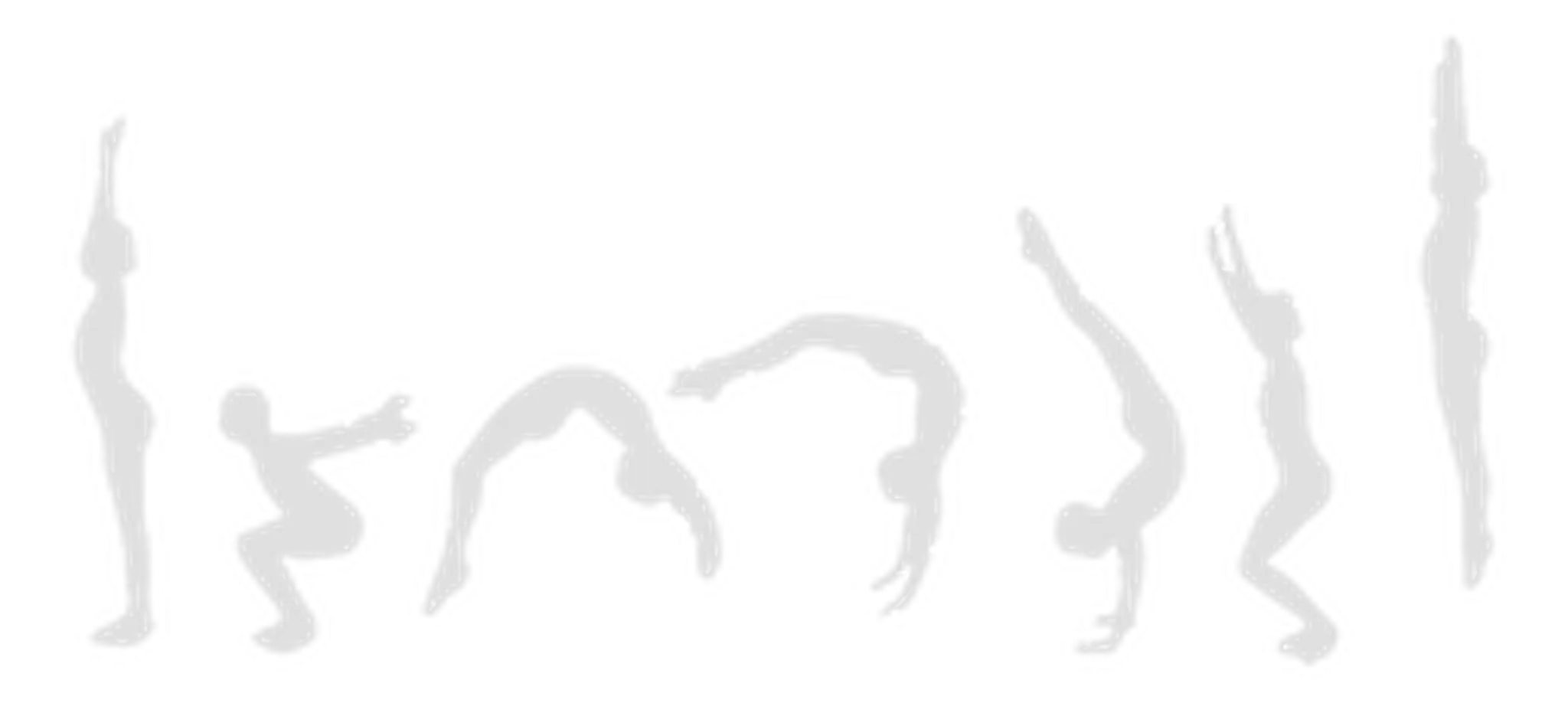 Riverdale Flip and Tumble