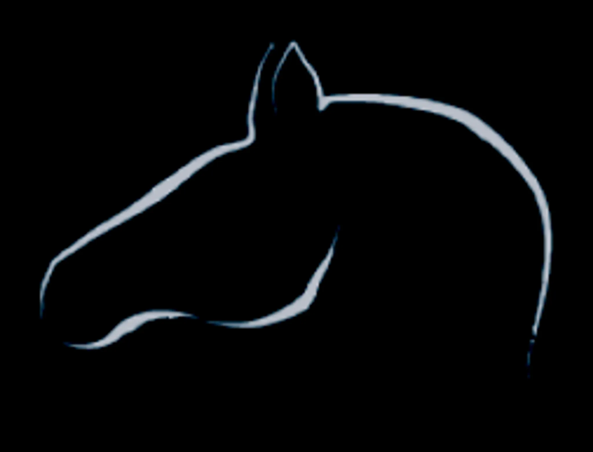 Hollies Riding School